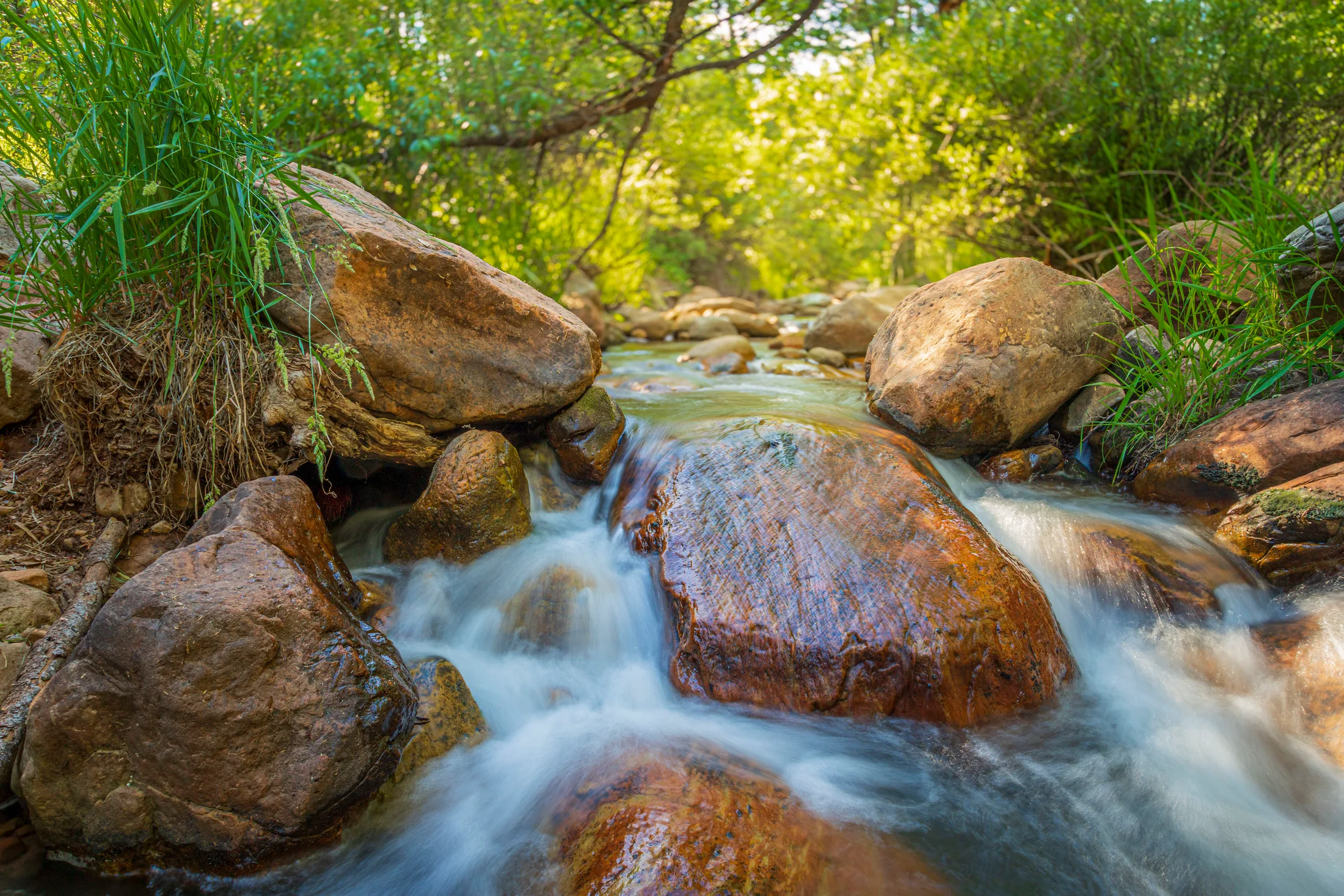 MBH (24) Horton Creek Payson AZ Horton Creek Payson AZ, ocean and lake and river and pier, a fine art photograph by Michael Joseph Baca