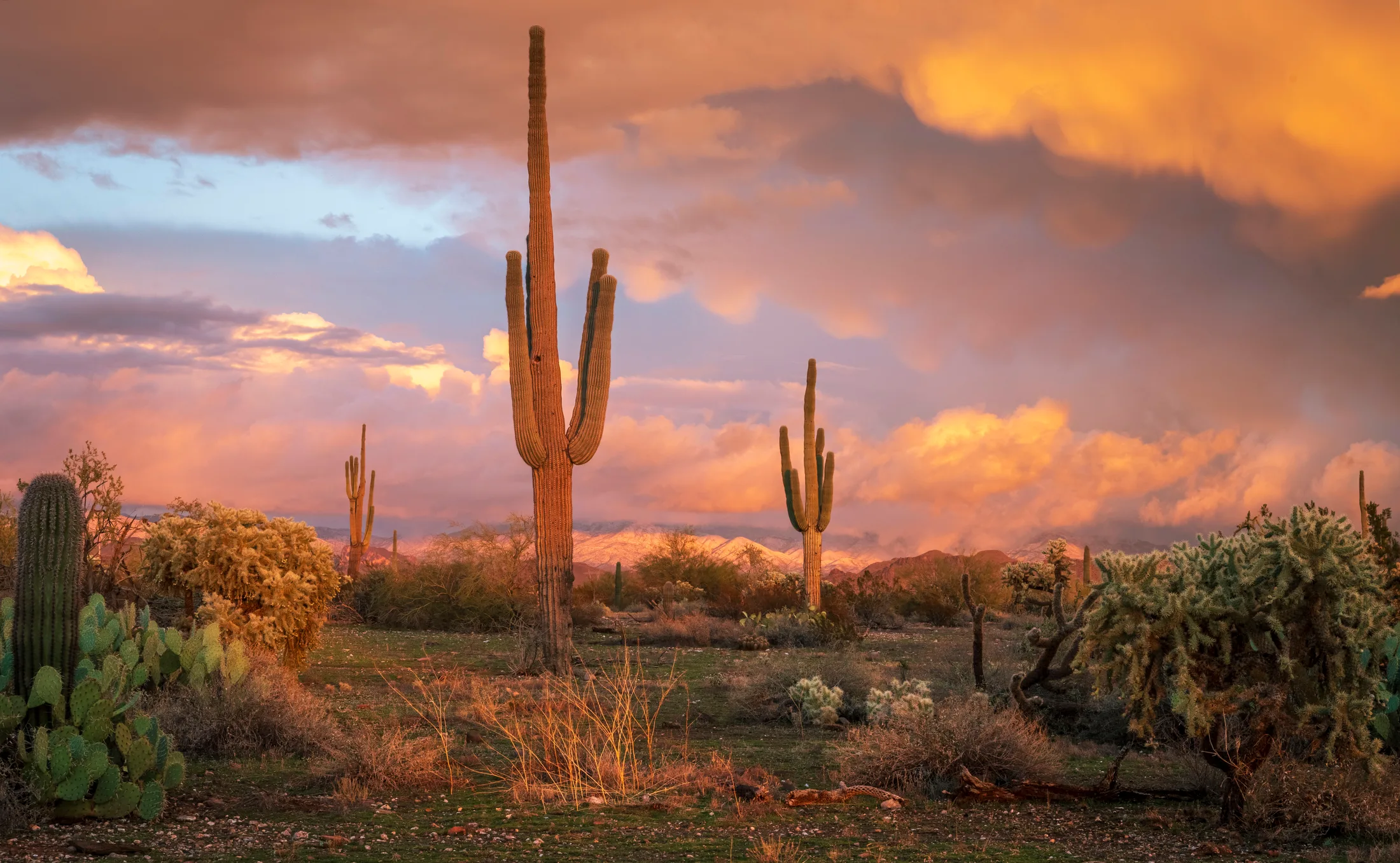 MSN (7) Hwy 79 Florence Arizona Hwy 79 Florence Arizona, snow, a fine art photograph by Michael Joseph Baca, Casa de Baca Studios, Florence, Arizona