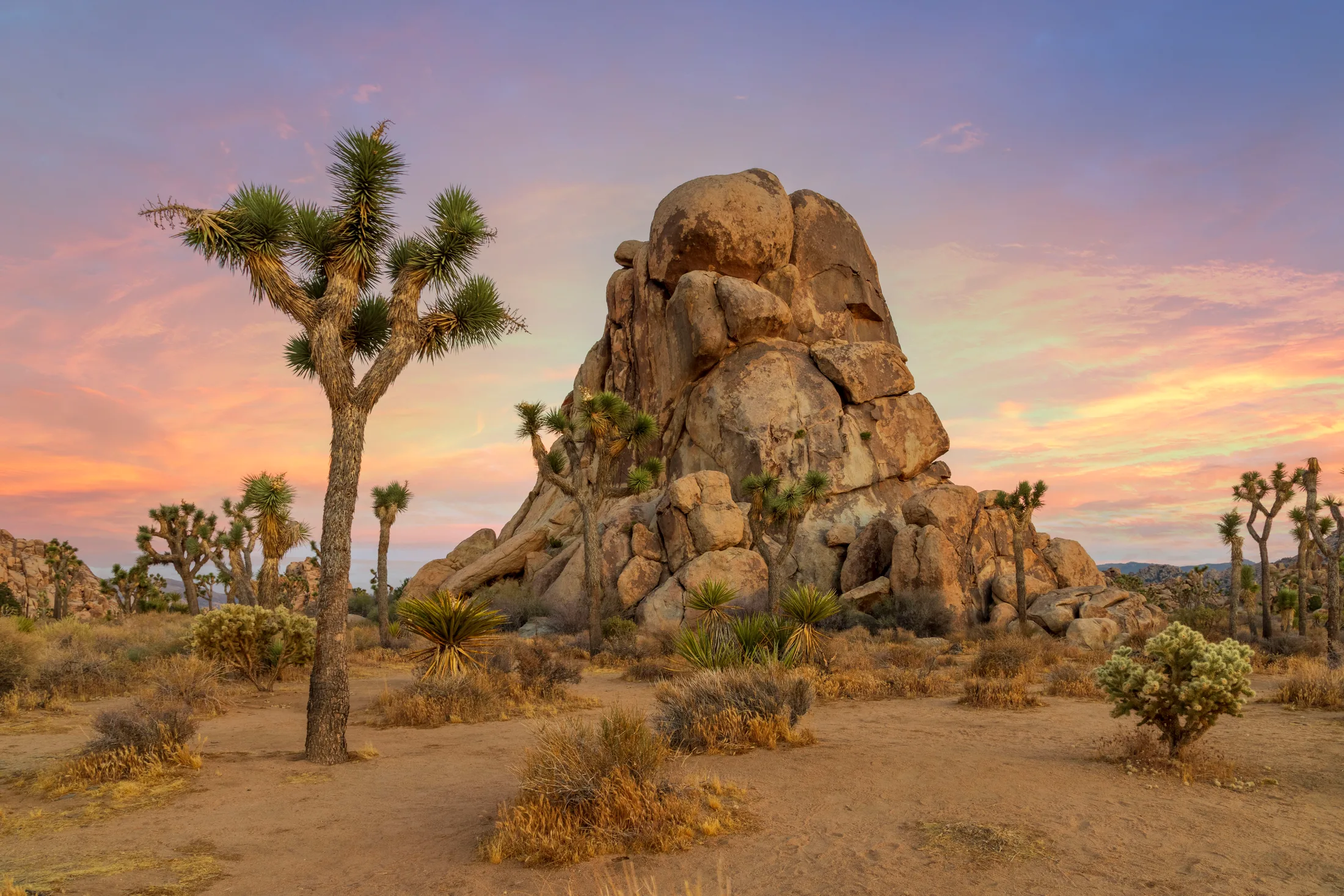 MSS (59) Joshua Tree National Park CA Joshua Tree National Park CA, sunset and sunrise, a fine art photograph by Michael Joseph Baca