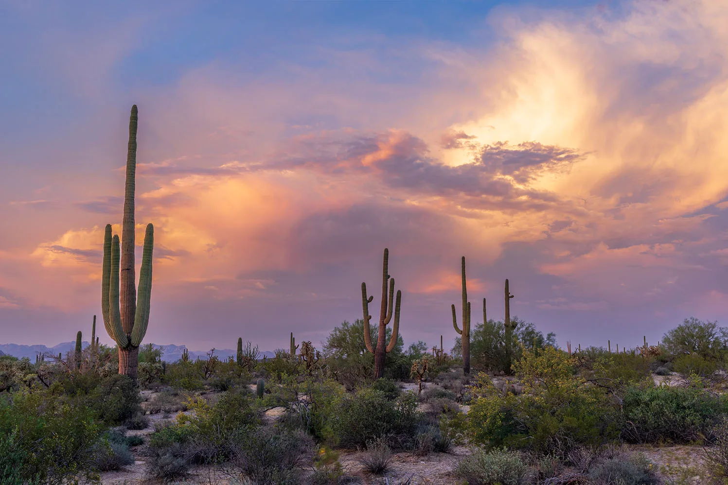 JS051 Whitlow Ranch Road Sunset JS051 Whitlow Ranch Road Sunset by Janell Evelyn Baca, Casa de Baca Studios, Florence, Arizona