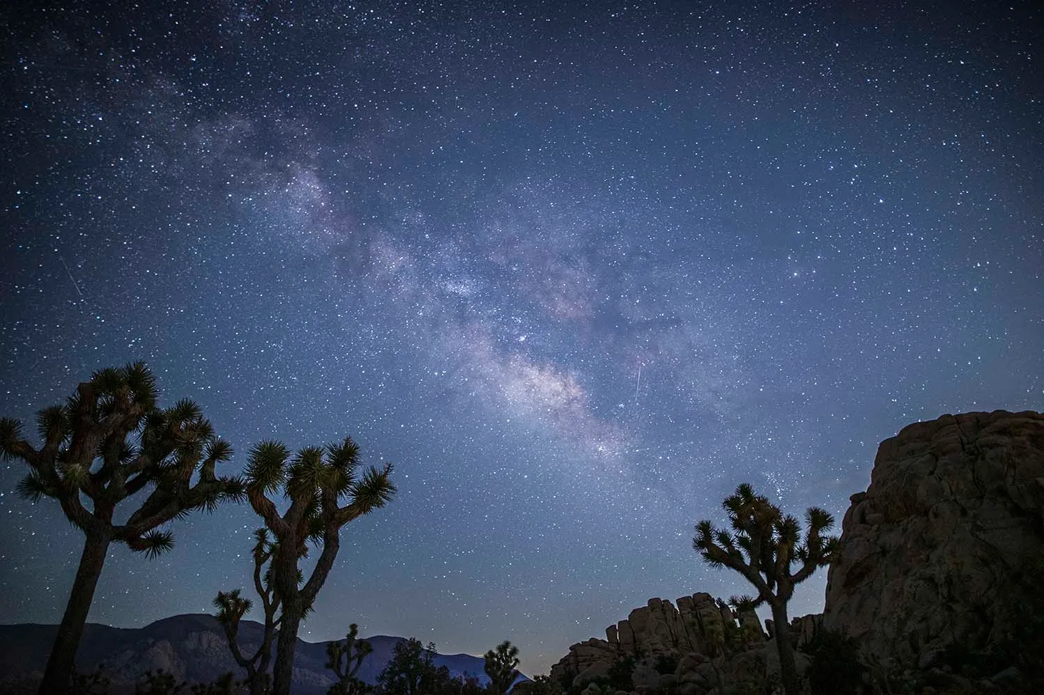 JK001 Milky Way at Joshua Tree National Forest Milky Way at Joshua Tree National Forest, a fine art photograph by Janell Evelyn Baca