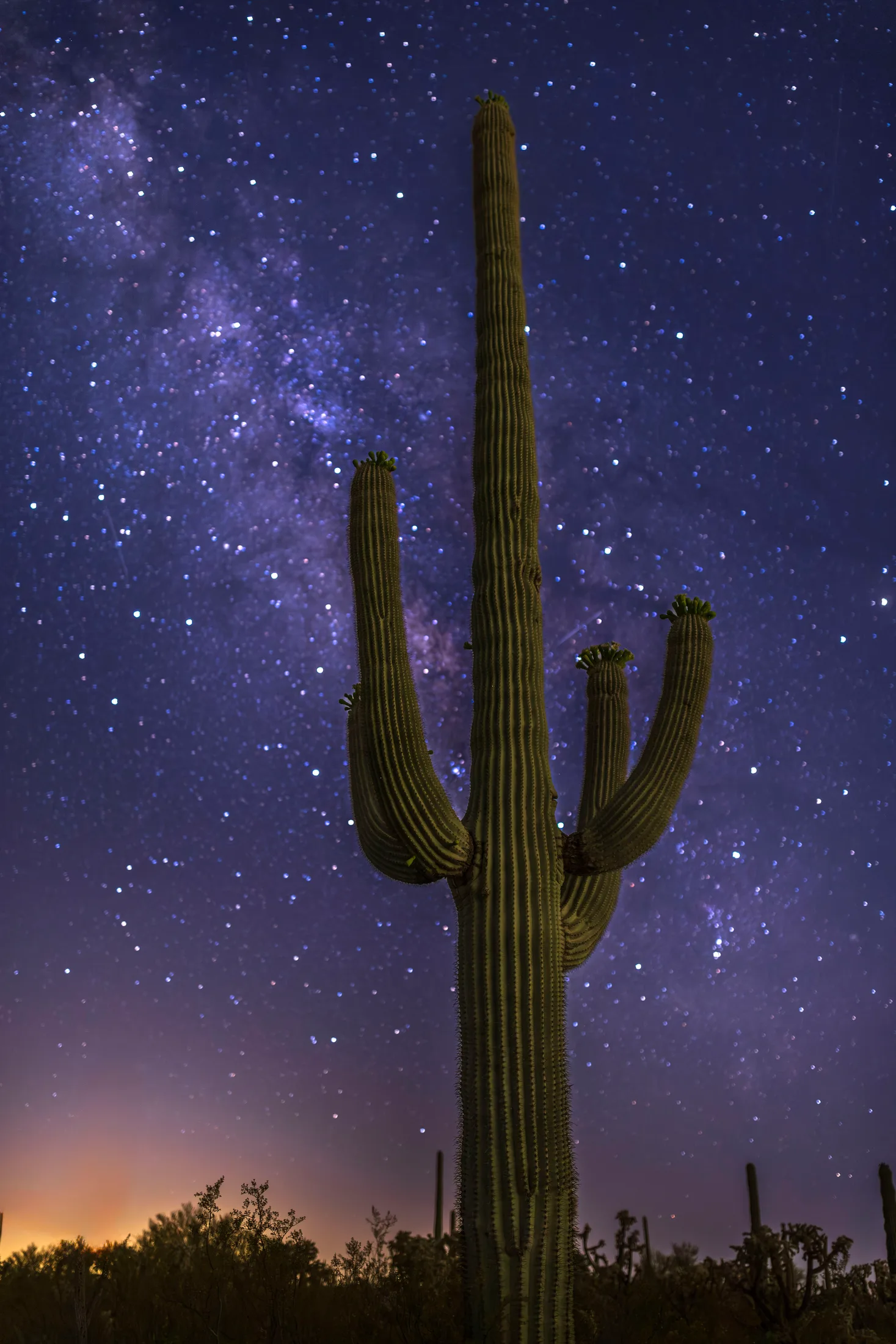 MMY (27) Milky Way Florence AZ Milky Way Florence AZ, a fine art photograph by Michael Joseph Baca, Casa de Baca Studios, Florence, Arizona
