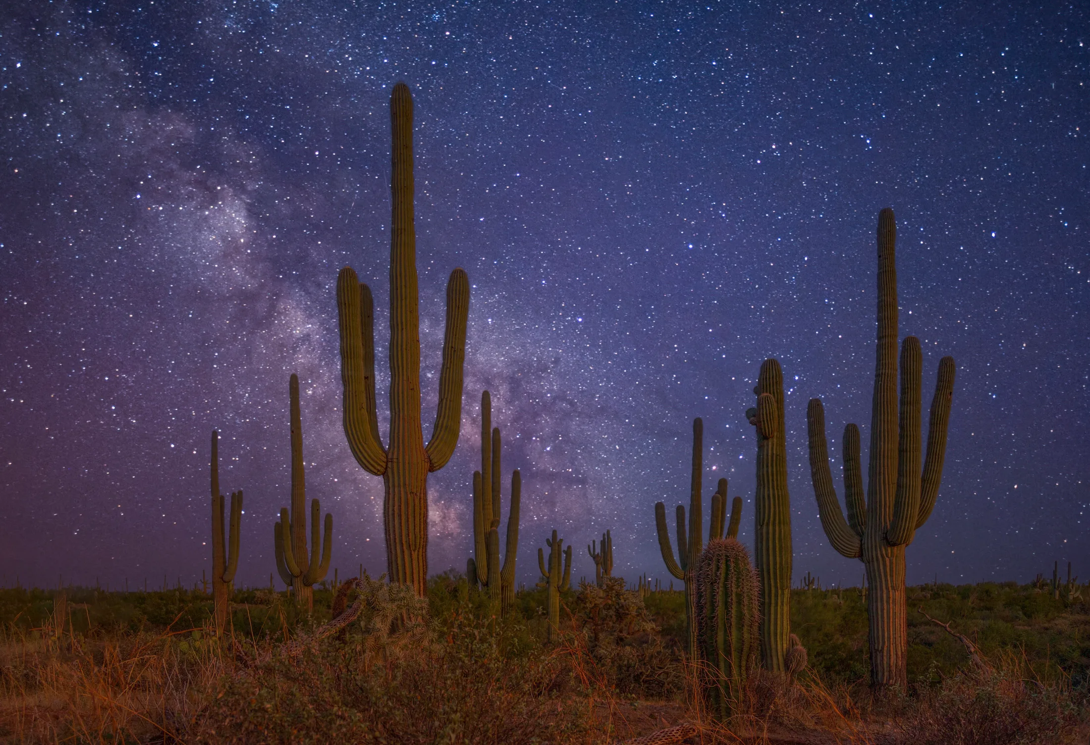MMY (22) Milky Way Florence AZ Milky Way Florence AZ, a fine art photograph by Michael Joseph Baca, Casa de Baca Studios, Florence, Arizona