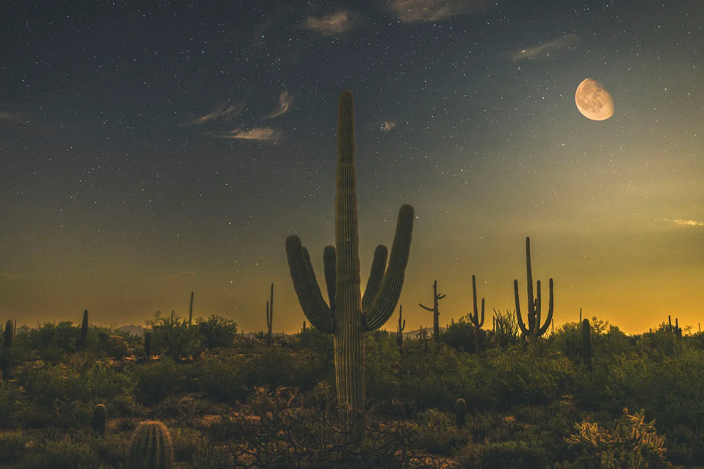 MMN (41) Saguaro & Moon Florence Arizona MMN (41) Saguaro & Moon Florence Arizona by Michael Joseph Baca, Casa de Baca Studios, Florence, Arizona