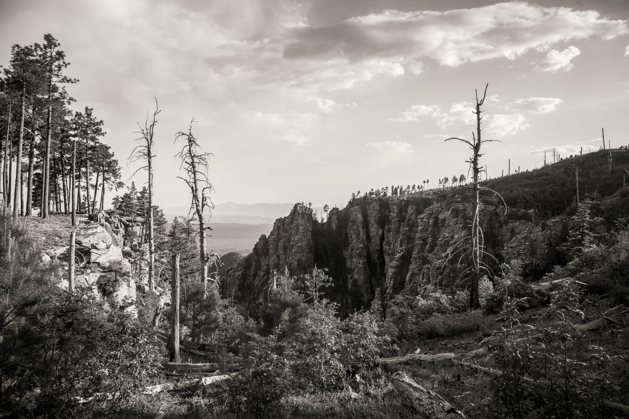 MLS (5) Mogollon Rim Arizona Mogollon Rim Arizona, landscape, a fine art photograph by Michael Joseph Baca, Casa de Baca Studios, Florence, Arizona
