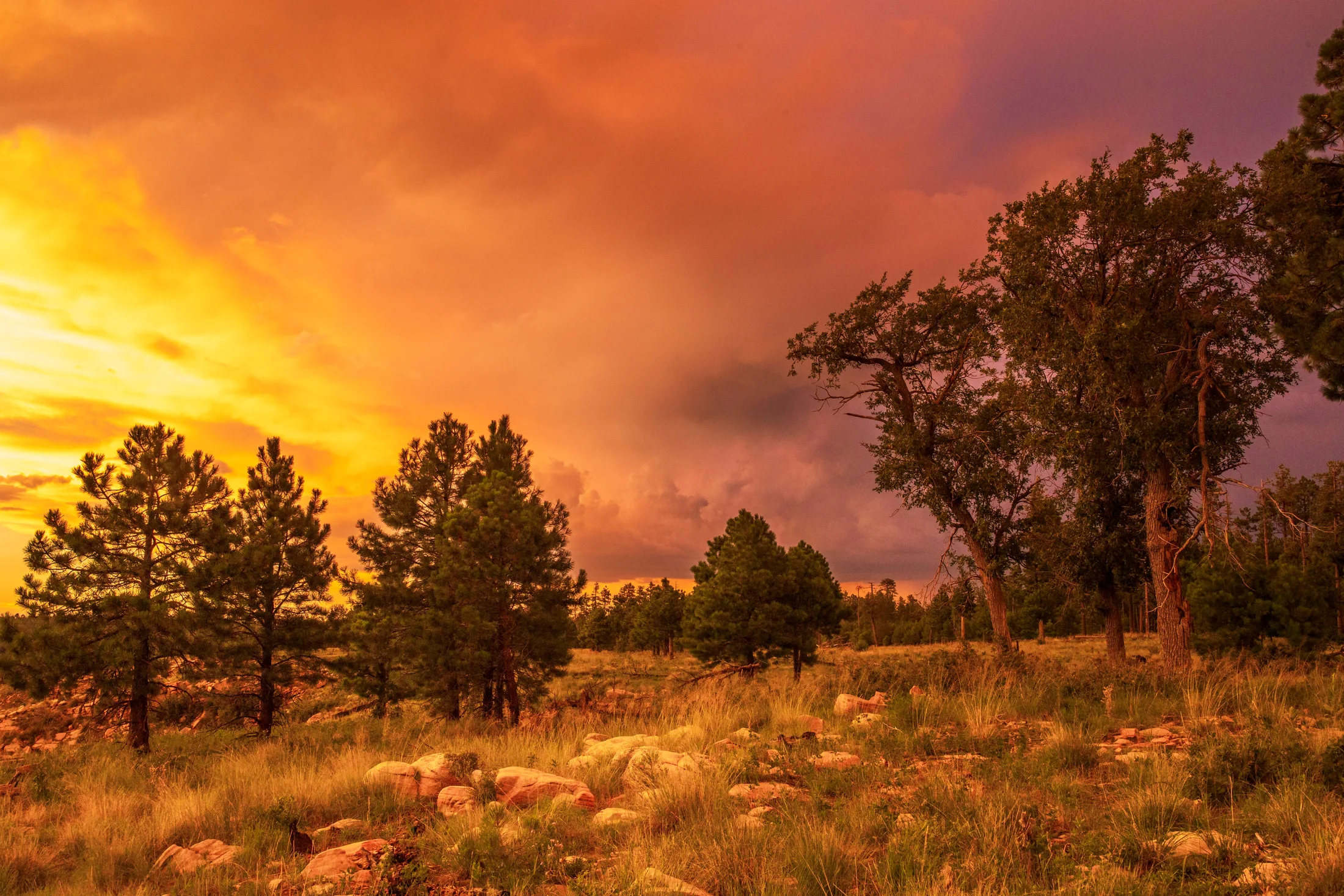 MSS (102) Mogollon Rim Payson AZ Mogollon Rim Payson AZ, sunset and sunrise, a fine art photograph by Michael Joseph Baca