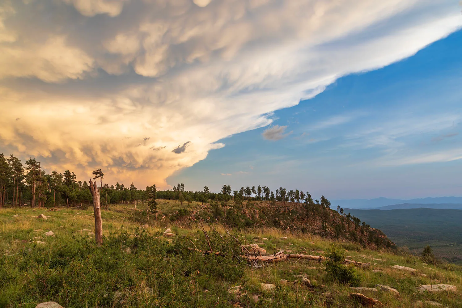 DJ007 Mogollon Rim Mogollon Rim, landscape, a fine art photograph by Janell Evelyn Baca, Casa de Baca Studios, Florence, Arizona