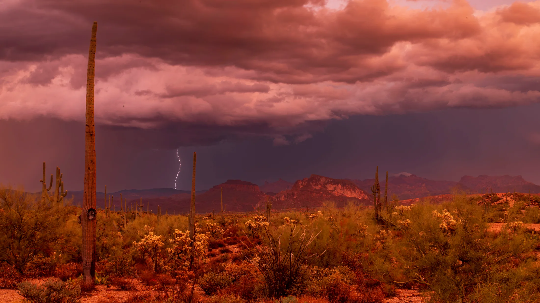 MST (68) Monsoon Florence Monsoon Florence, lightning, a fine art photograph by Michael Joseph Baca, Casa de Baca Studios, Florence, Arizona