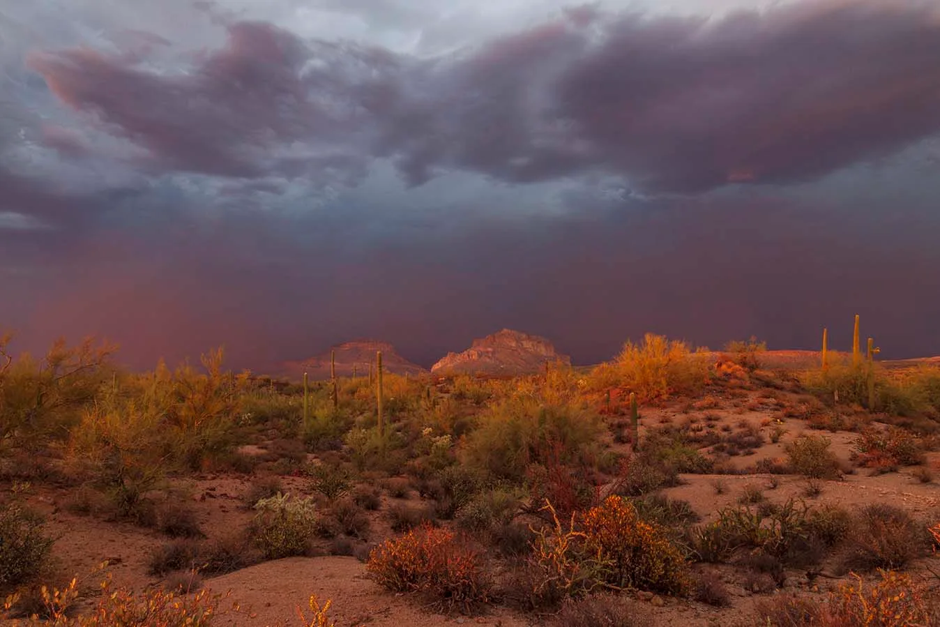 JS003 Monsoon Storm Whitlow Ranch Rd with the Buttes Monsoon Storm Whitlow Ranch Rd with the Buttes, sunset and sunrise, a fine art photograph by Janell Evelyn Baca