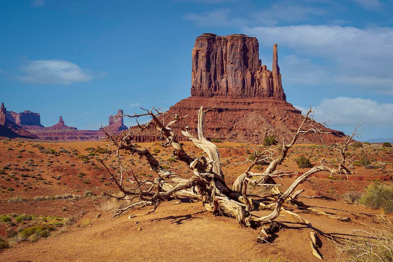 DJ002 Monument Valley Navajo park mitten Monument Valley Navajo park mitten, landscape, a fine art photograph by Janell Evelyn Baca