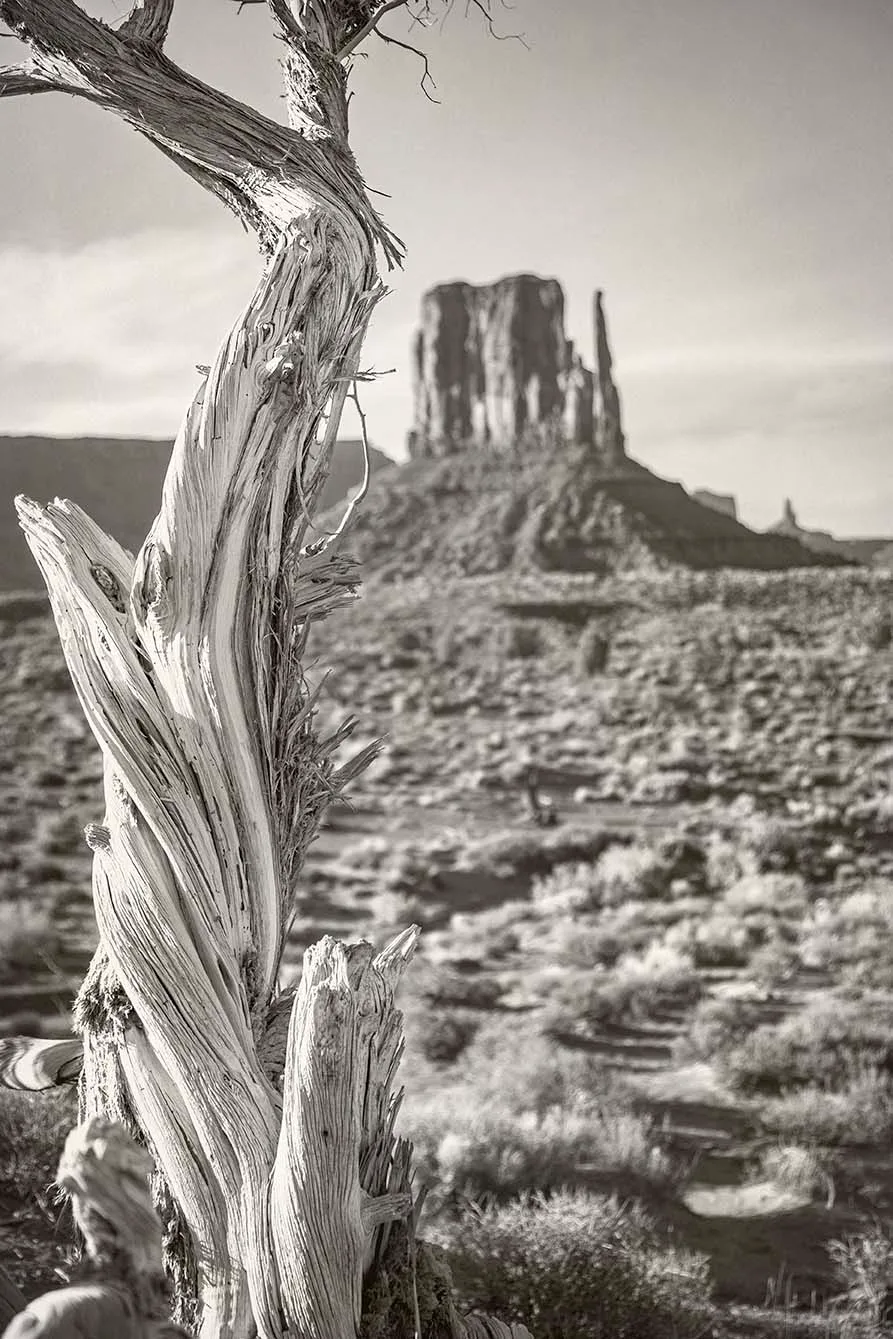 DJ001 Monument Valley Navajo park mitten Monument Valley Navajo park mitten, landscape, a fine art photograph by Janell Evelyn Baca
