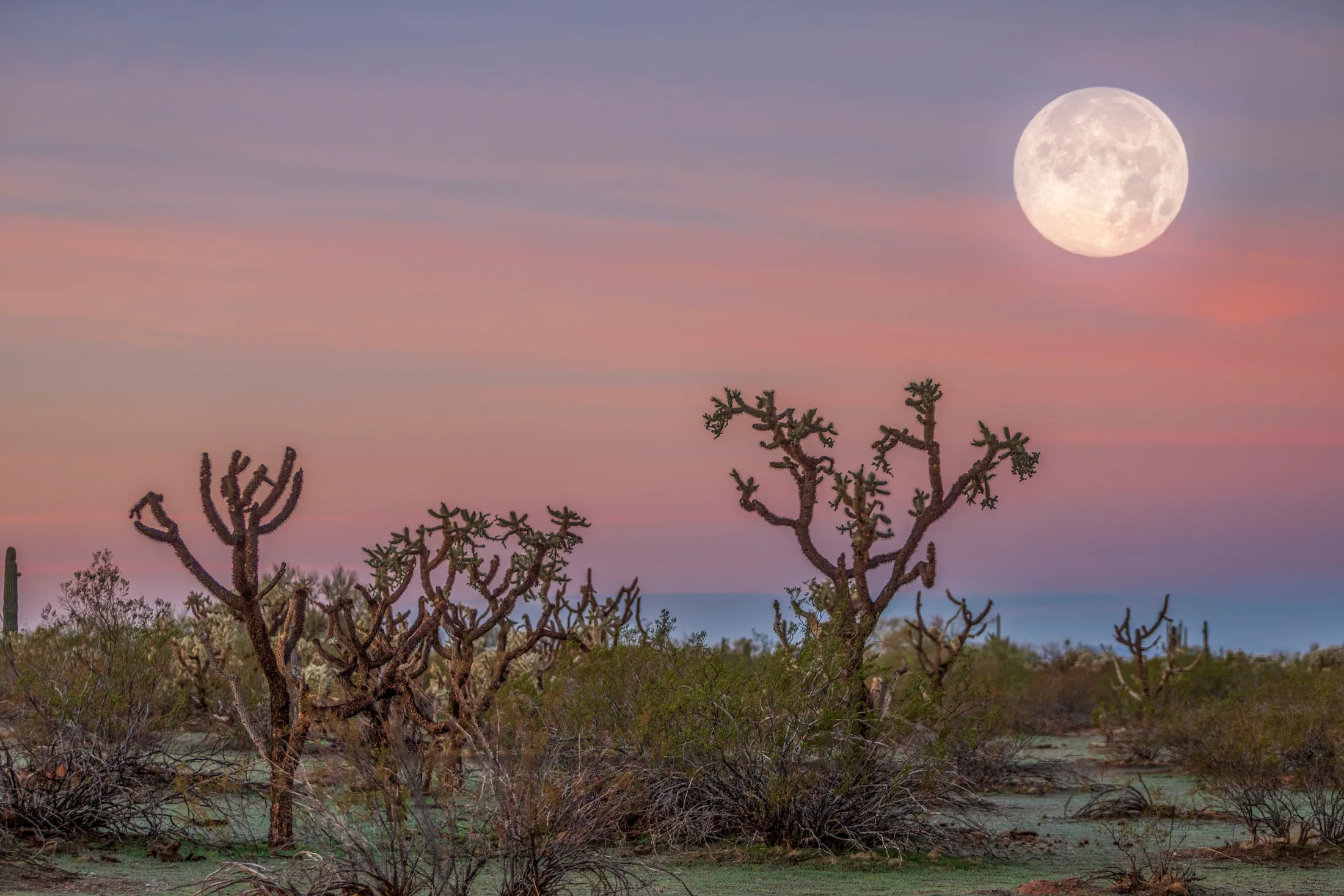 MMN (33) Moon Set Near Florence Moon Set Near Florence, a fine art photograph by Michael Joseph Baca, Casa de Baca Studios, Florence, Arizona