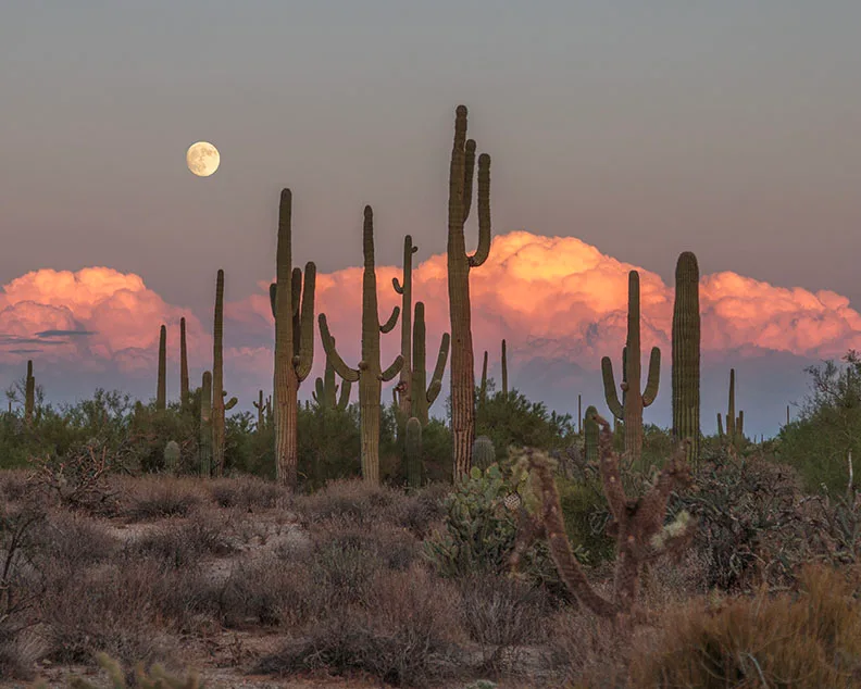 OJ004 Moon Sunset Florence Kelvin Hwy Moon Sunset Florence Kelvin Hwy, a fine art photograph by Janell Evelyn Baca, Casa de Baca Studios, Florence, Arizona