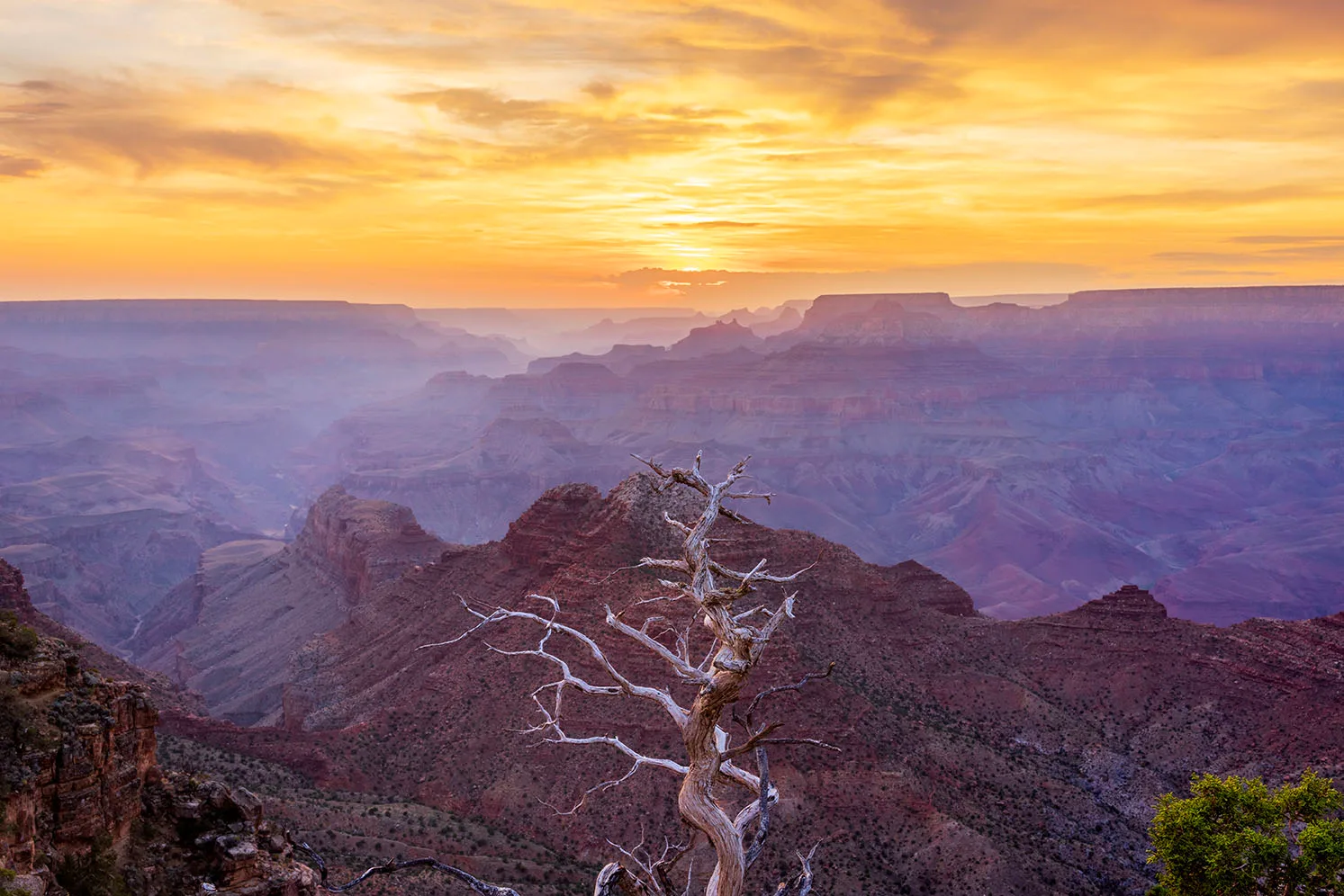 MSS (106) Grand Canyon MSS (106) Grand Canyon, sunset and sunrise by Michael Joseph Baca, Casa de Baca Studios, Florence, Arizona