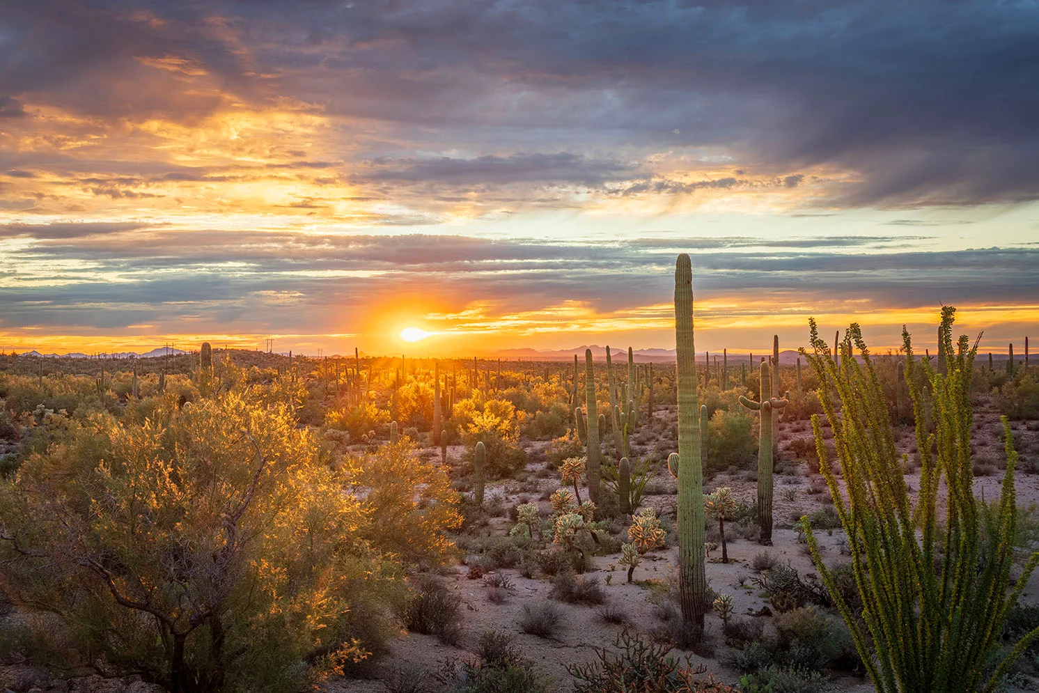 MSS (114) Sunset south of Florence Arizona MSS (114) Sunset south of Florence Arizona by Michael Joseph Baca, Casa de Baca Studios, Florence, Arizona