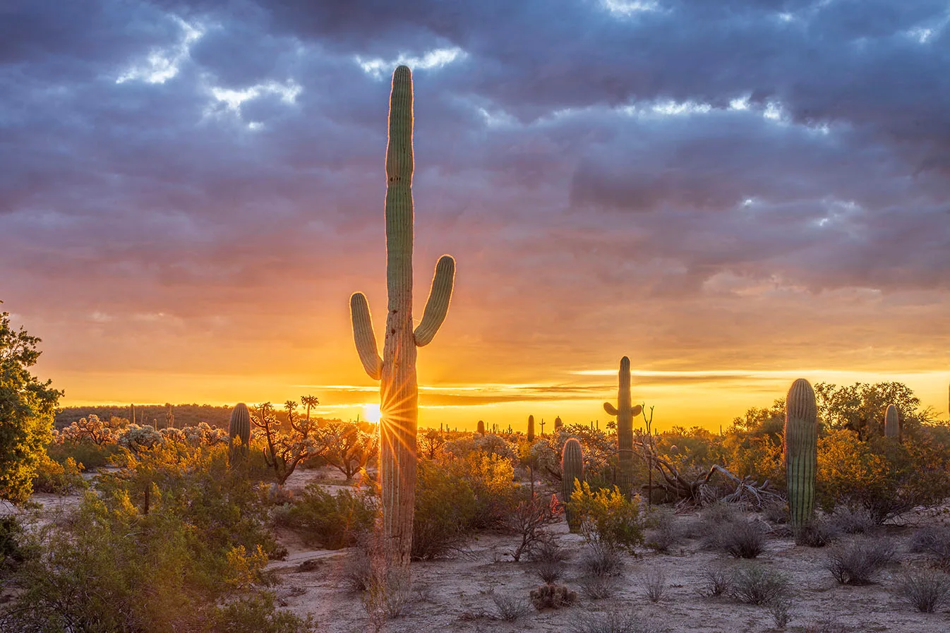 MSS (116) Florence Arizona Sunrise MSS (116) Florence Arizona Sunrise, sunset and sunrise by Michael Joseph Baca, Casa de Baca Studios, Florence, Arizona