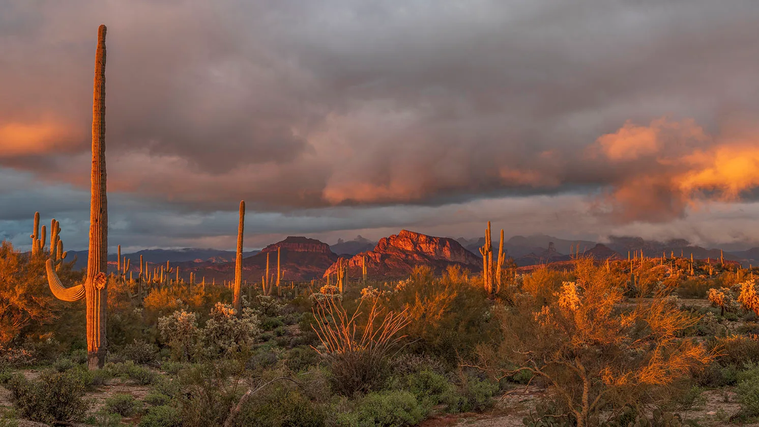 MSS (57) Florence Arizona MSS (57) Florence Arizona, sunset and sunrise by Michael Joseph Baca, Casa de Baca Studios, Florence, Arizona