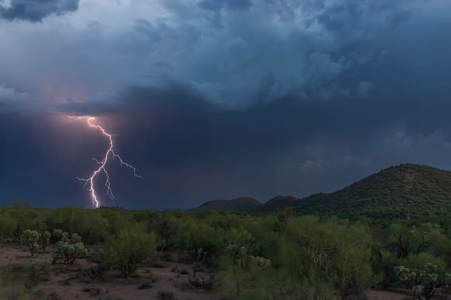 MST (79) Lightning off Highway 79 just south of Florence MST (79) Lightning off Highway 79 just south of Florence by Michael Joseph Baca, Casa de Baca Studios, Florence, Arizona
