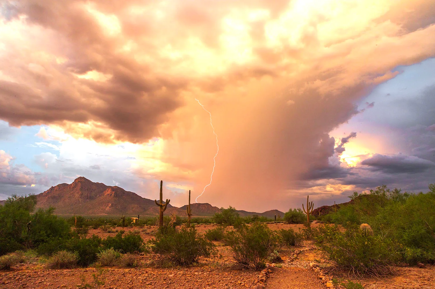 MST (83) Picacho Peak Park MST (83) Picacho Peak Park, lightning by Michael Joseph Baca, Casa de Baca Studios, Florence, Arizona