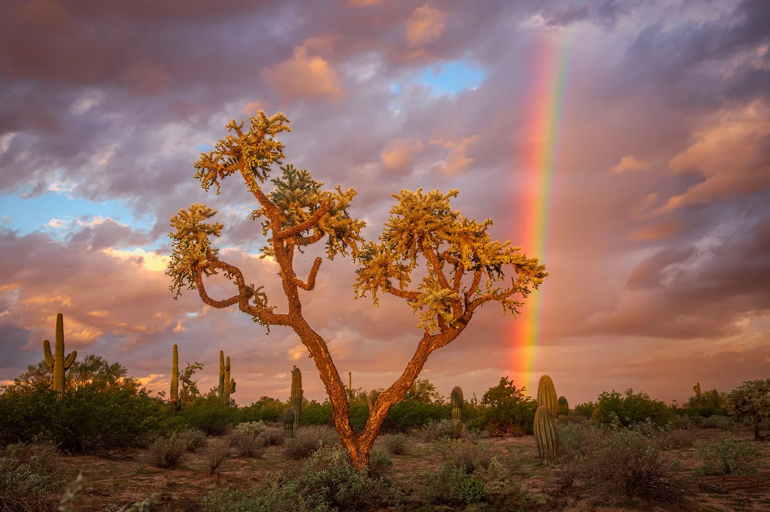 MST (87) Rainbow Florence Arizona MST (87) Rainbow Florence Arizona, lightning by Michael Joseph Baca, Casa de Baca Studios, Florence, Arizona