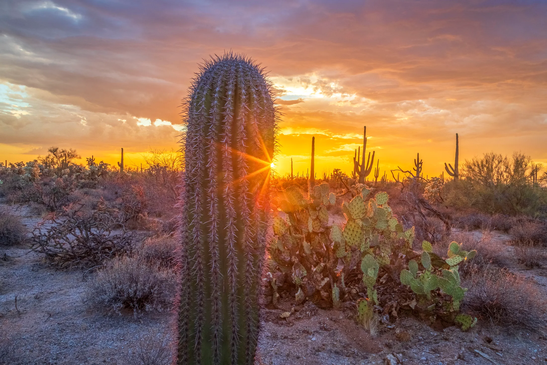 MSS (70) near Florence near Florence, sunset and sunrise, a fine art photograph by Michael Joseph Baca, Casa de Baca Studios, Florence, Arizona