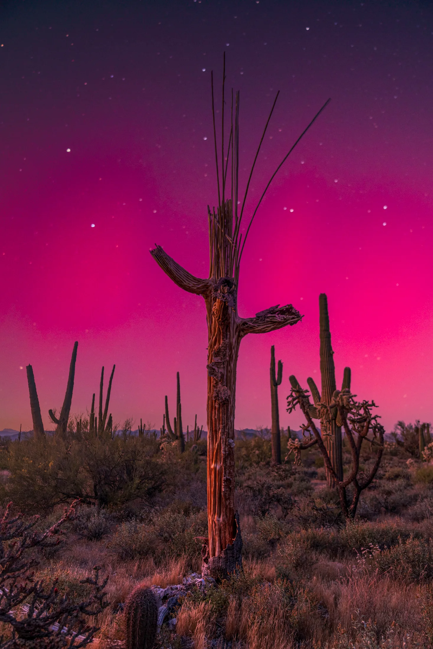 MNL (1) Northern Lights from Florence AZ Northern Lights from Florence AZ, a fine art photograph by Michael Joseph Baca, Casa de Baca Studios, Florence, Arizona