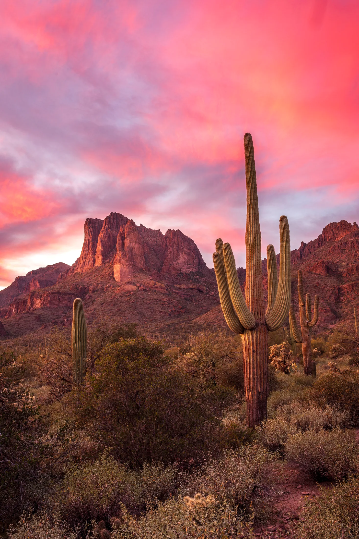 MSS (101) Peralta Superstition Wilderness Arizona Peralta Superstition Wilderness Arizona, sunset and sunrise, a fine art photograph by Michael Joseph Baca