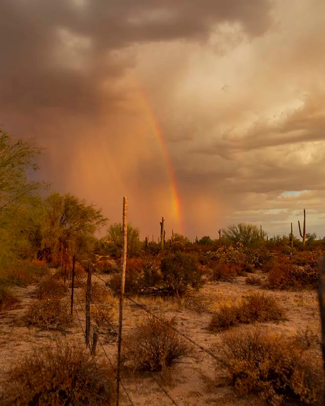 LJ020 Rainbow off Butte Rd Florence Rainbow off Butte Rd Florence, lightning, a fine art photograph by Janell Evelyn Baca