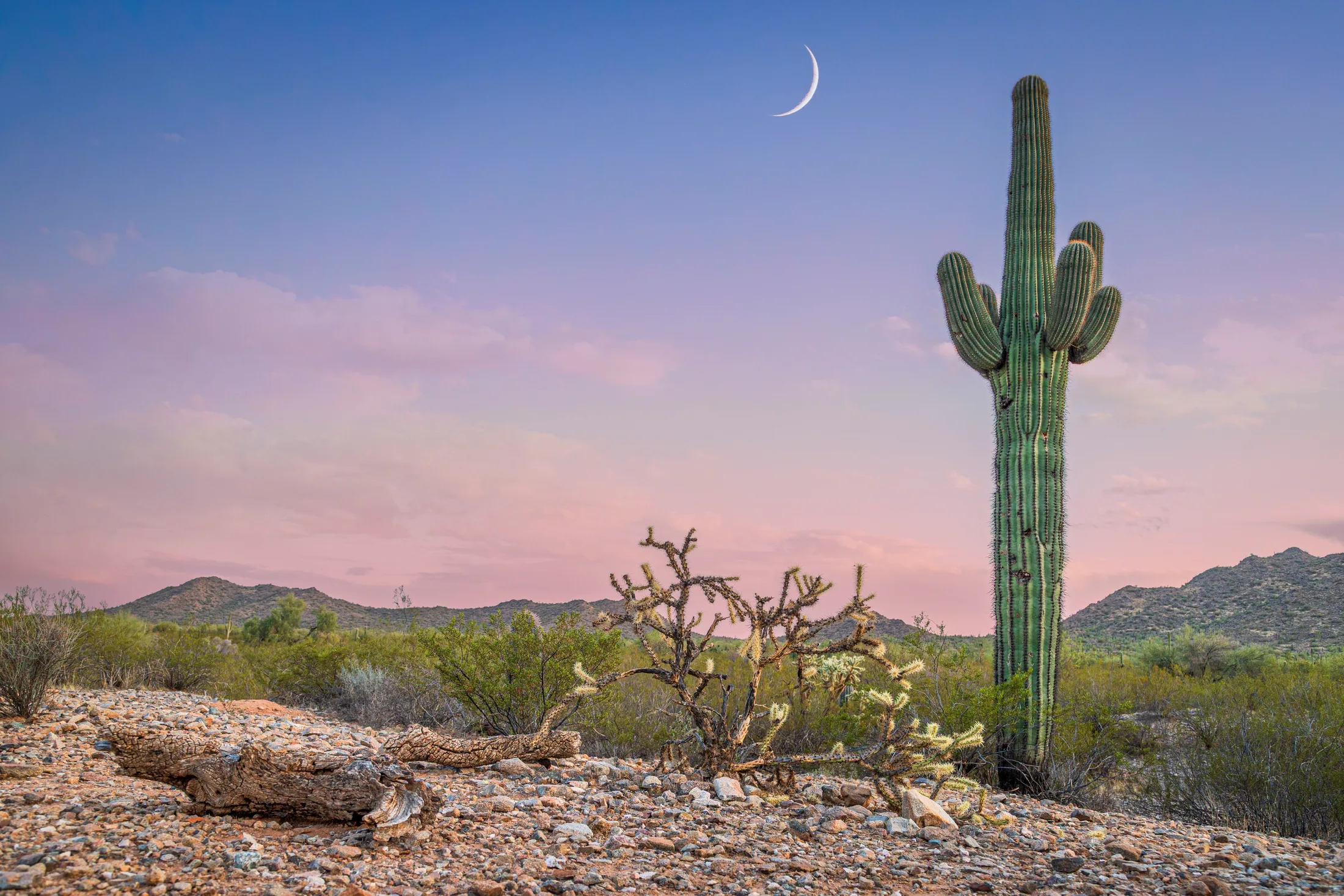 MMN (27) San Tan Mountain Regional Park San Tan Mountain Regional Park, moon, a fine art photograph by Michael Joseph Baca, Casa de Baca Studios, Florence, Arizona