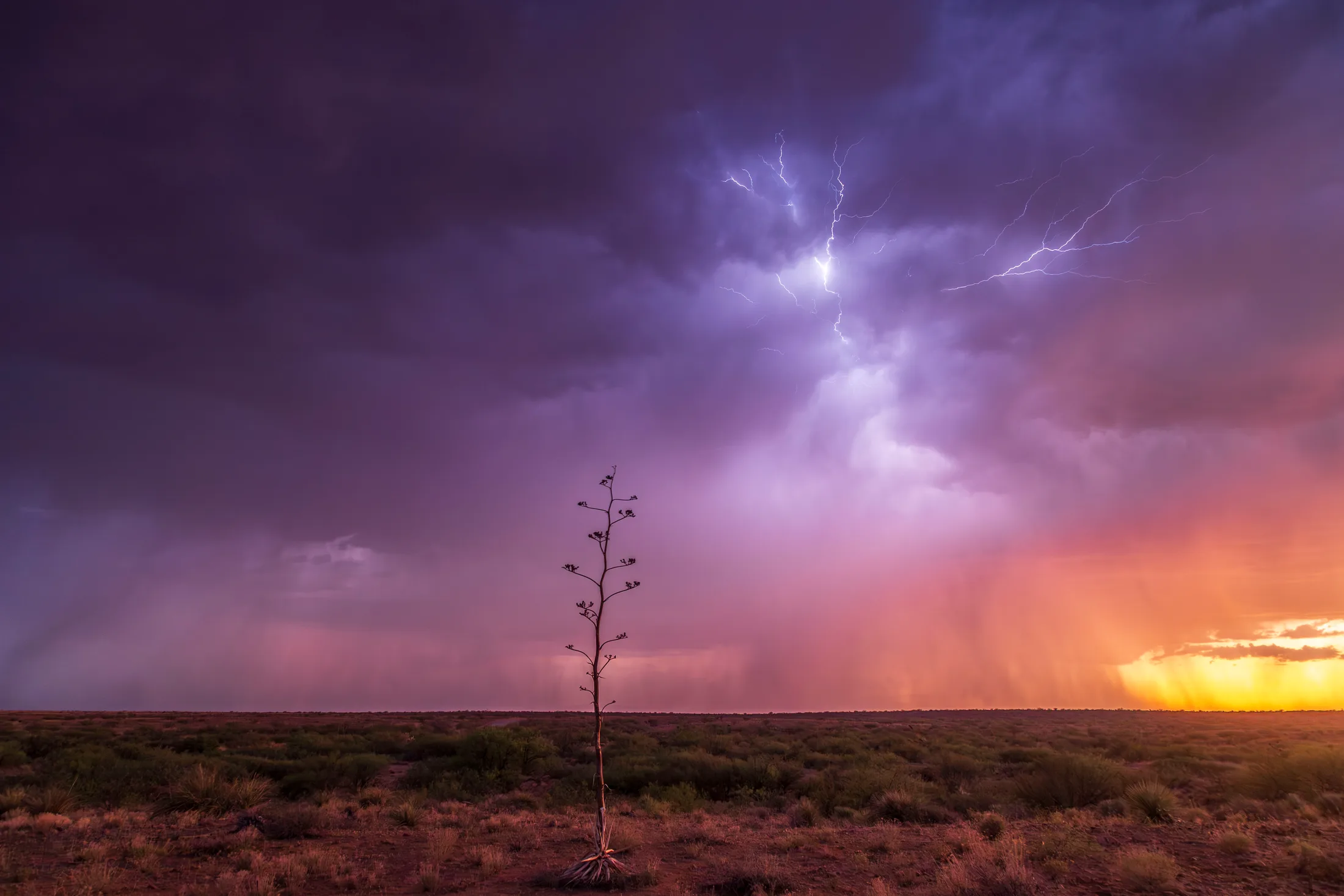MST (56) Sierra Vista area ARizona Sierra Vista area ARizona, lightning, a fine art photograph by Michael Joseph Baca, Casa de Baca Studios, Florence, Arizona
