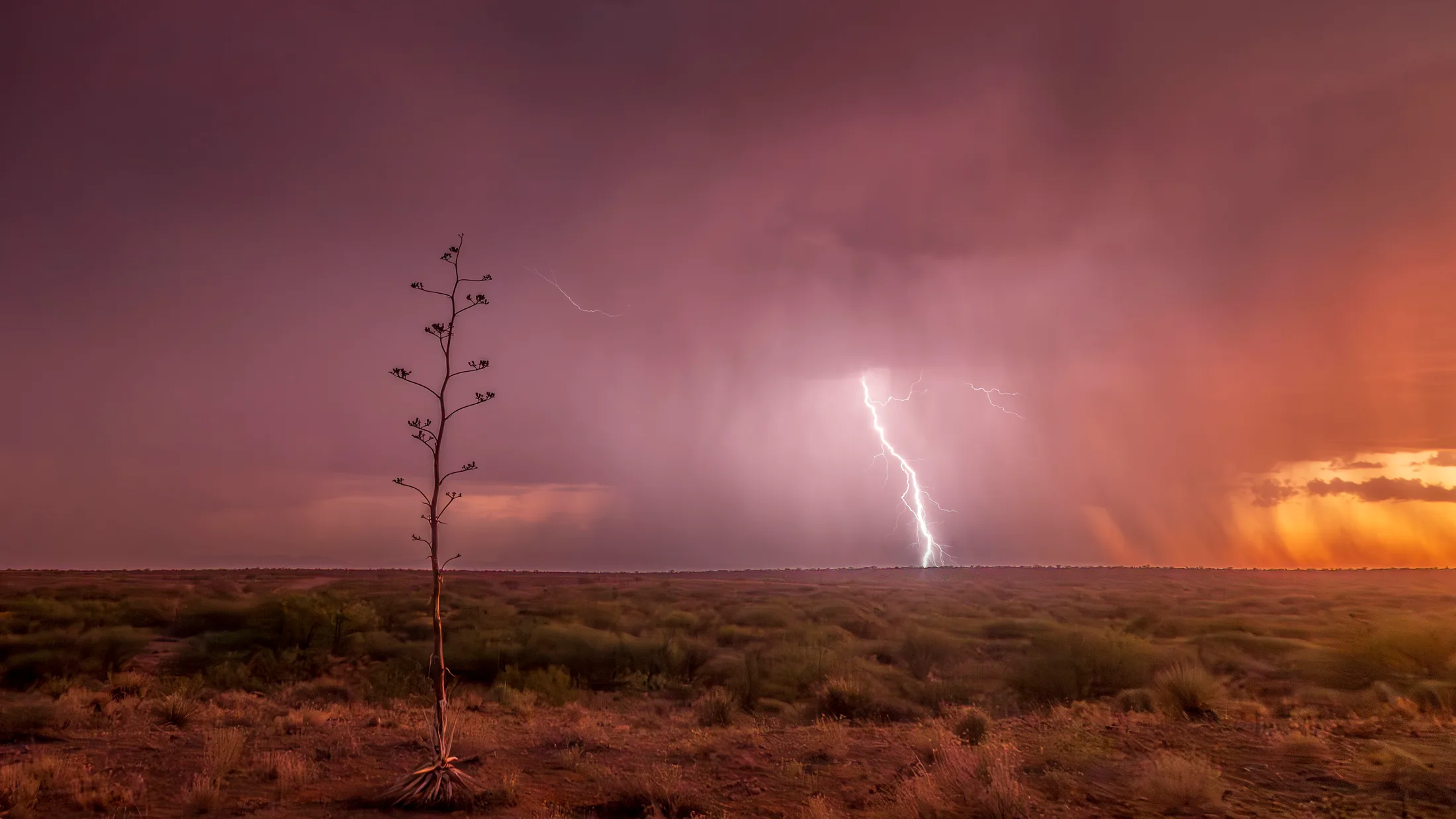 MST (57) Sierra Vista Arizona Sierra Vista Arizona, lightning, a fine art photograph by Michael Joseph Baca, Casa de Baca Studios, Florence, Arizona