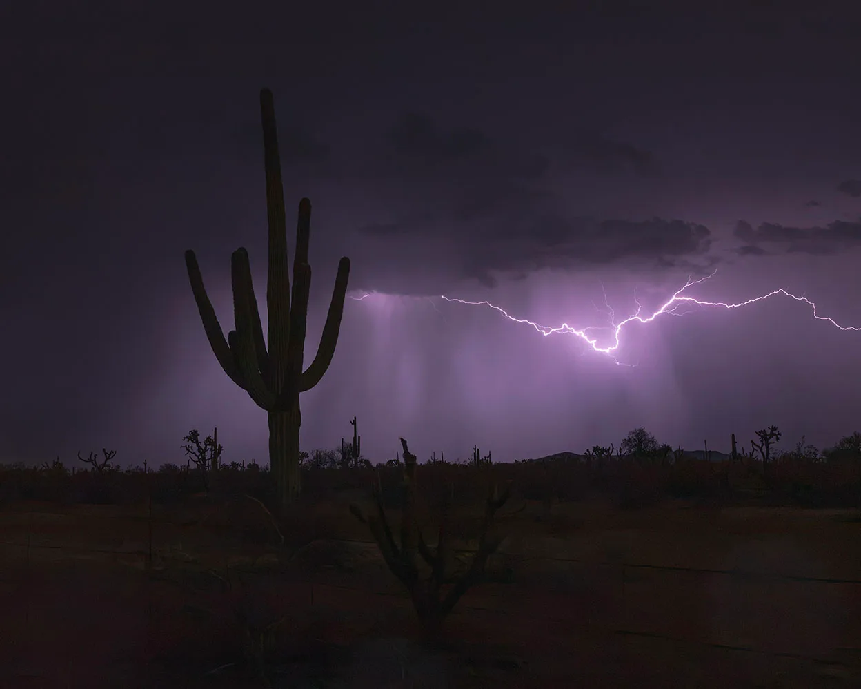 LJ042 Slide Across the Sky Lightning off Hwy 60 Superstition Wilderness AZ Slide Across the Sky Lightning off Hwy 60 Superstition Wilderness AZ, a fine art photograph by Janell Evelyn Baca