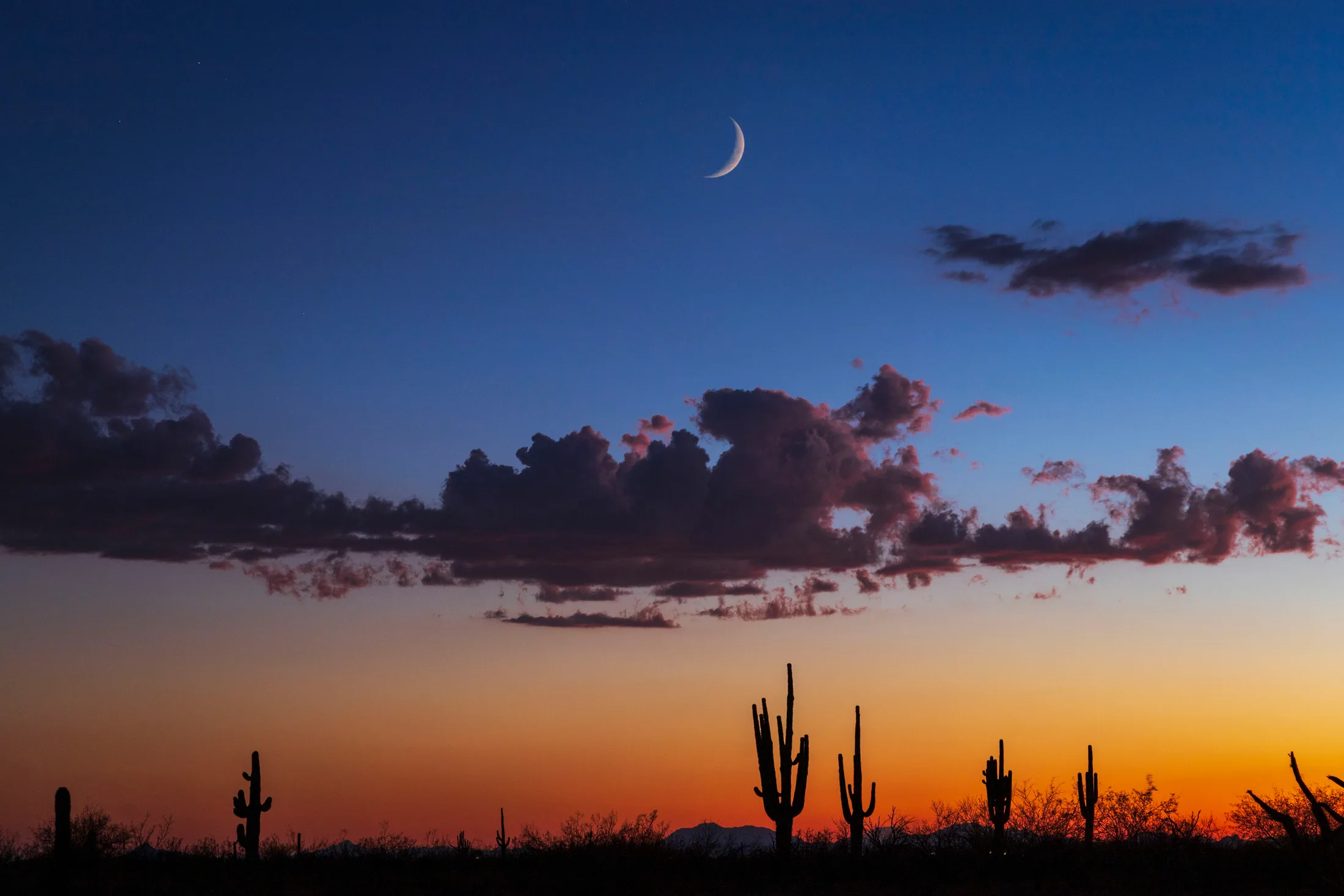 MMN (31) Sliver Moon Sunset Superstition Wilderness Sliver Moon Sunset Superstition Wilderness, a fine art photograph by Michael Joseph Baca