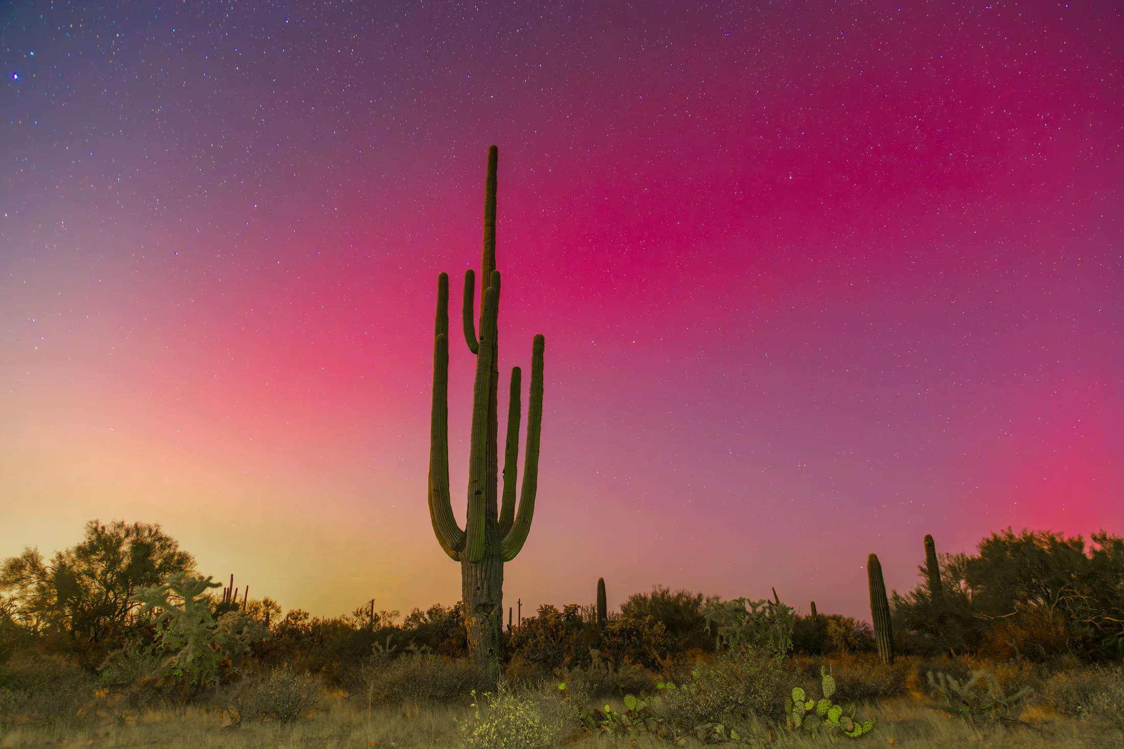 MNL (2) Sonoran Desert Northern Lights Florence AZ Sonoran Desert Northern Lights Florence AZ, a fine art photograph by Michael Joseph Baca