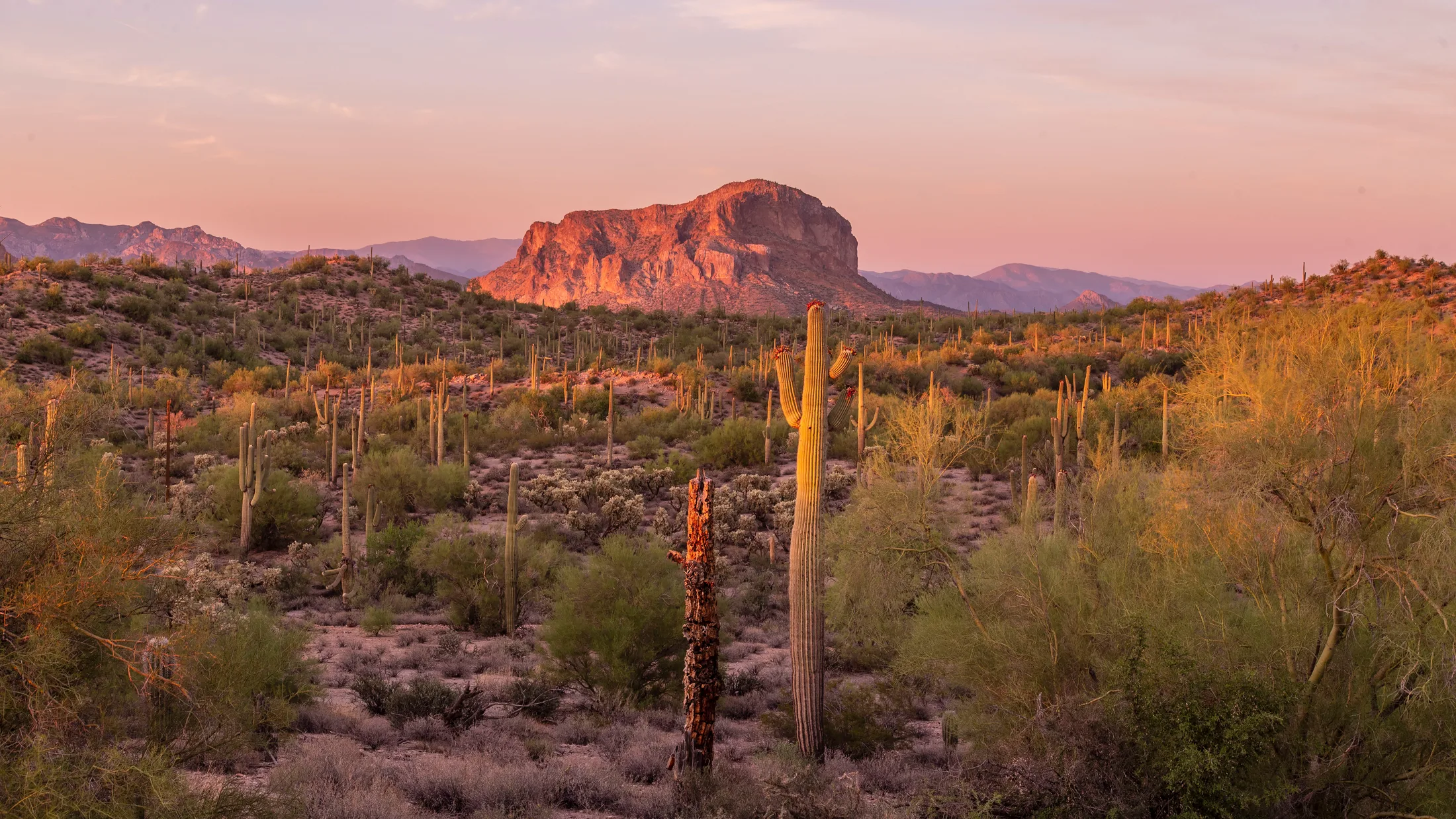 MLS (1) South Butte Florence AZ South Butte Florence AZ, landscape, a fine art photograph by Michael Joseph Baca, Casa de Baca Studios, Florence, Arizona