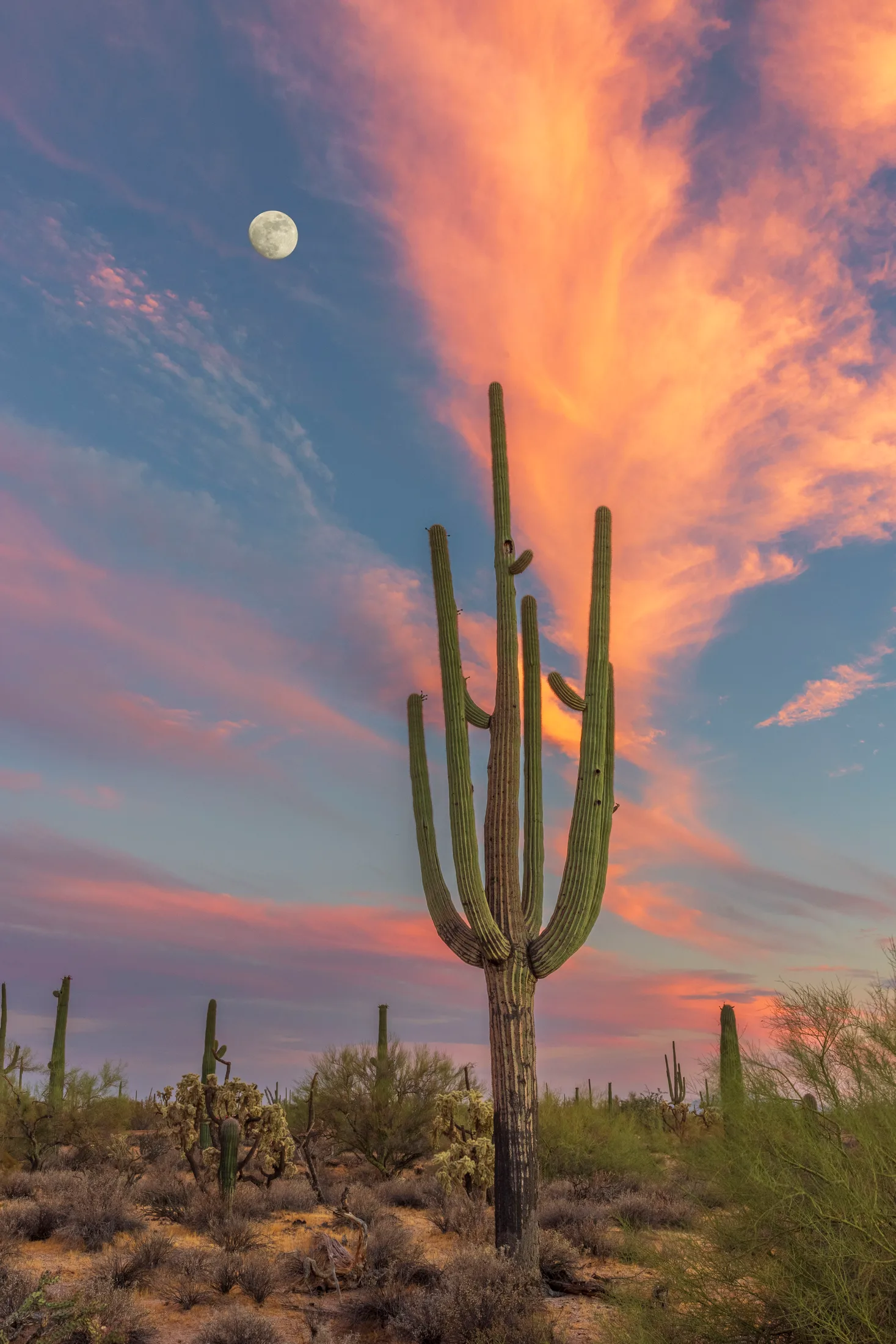 MMN (38) Southeast Florence AZ Southeast Florence AZ, moon, a fine art photograph by Michael Joseph Baca, Casa de Baca Studios, Florence, Arizona