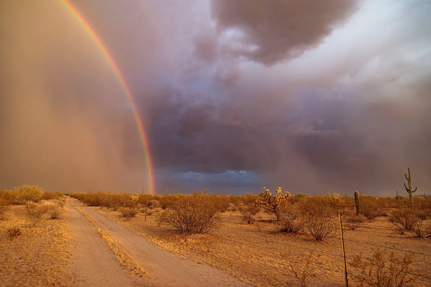 LJ037 Stormy Rainbow off Highway 79 Stormy Rainbow off Highway 79, lightning, a fine art photograph by Janell Evelyn Baca