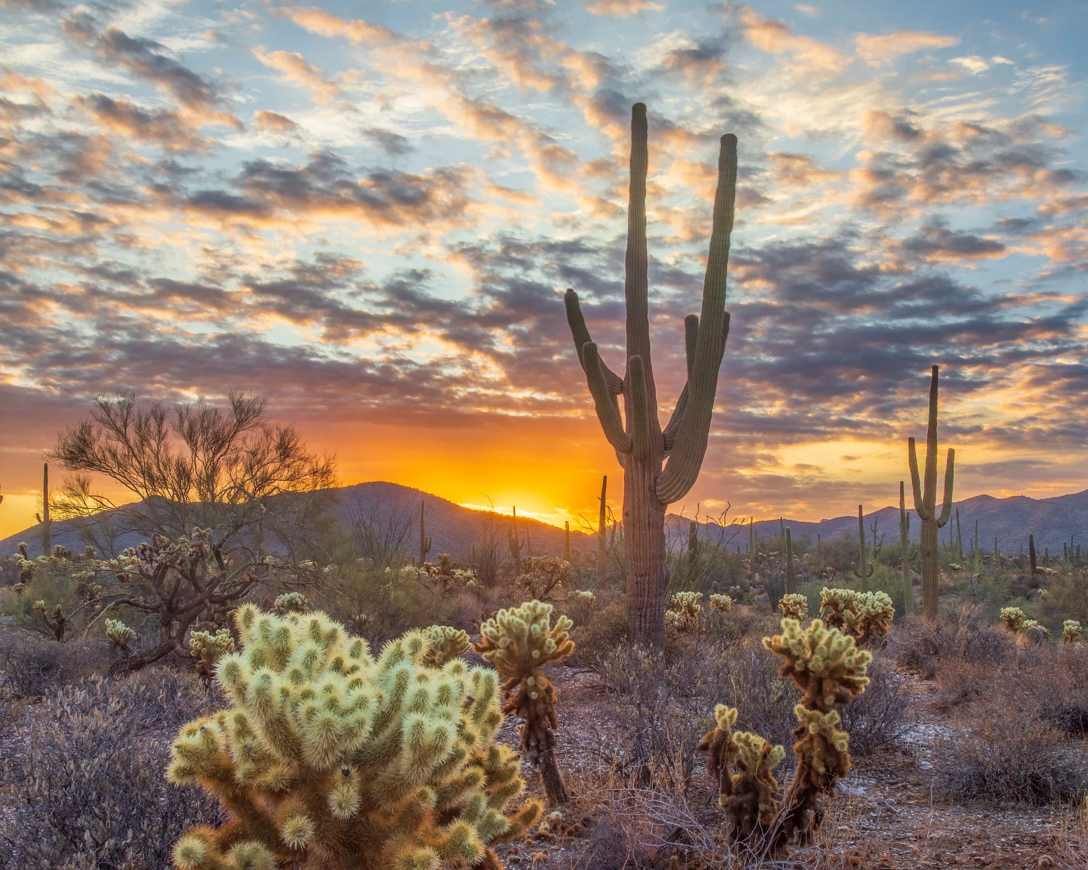 MSS (75) Sunrise Queen Valley AZ Sunrise Queen Valley AZ, sunset and sunrise, a fine art photograph by Michael Joseph Baca