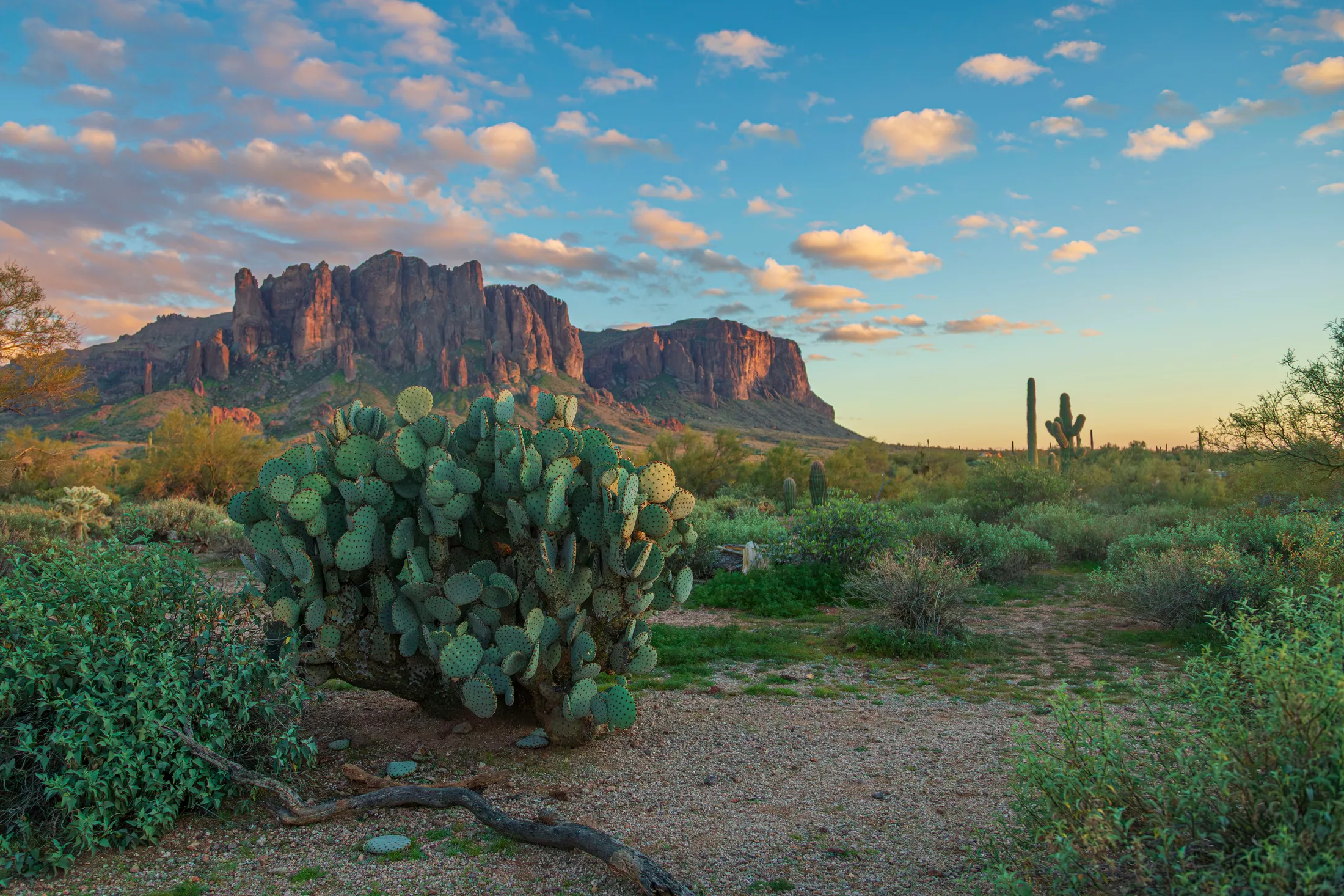 MSS (84) Sunset Lost Dutchman State Park Sunset Lost Dutchman State Park, a fine art photograph by Michael Joseph Baca, Casa de Baca Studios, Florence, Arizona
