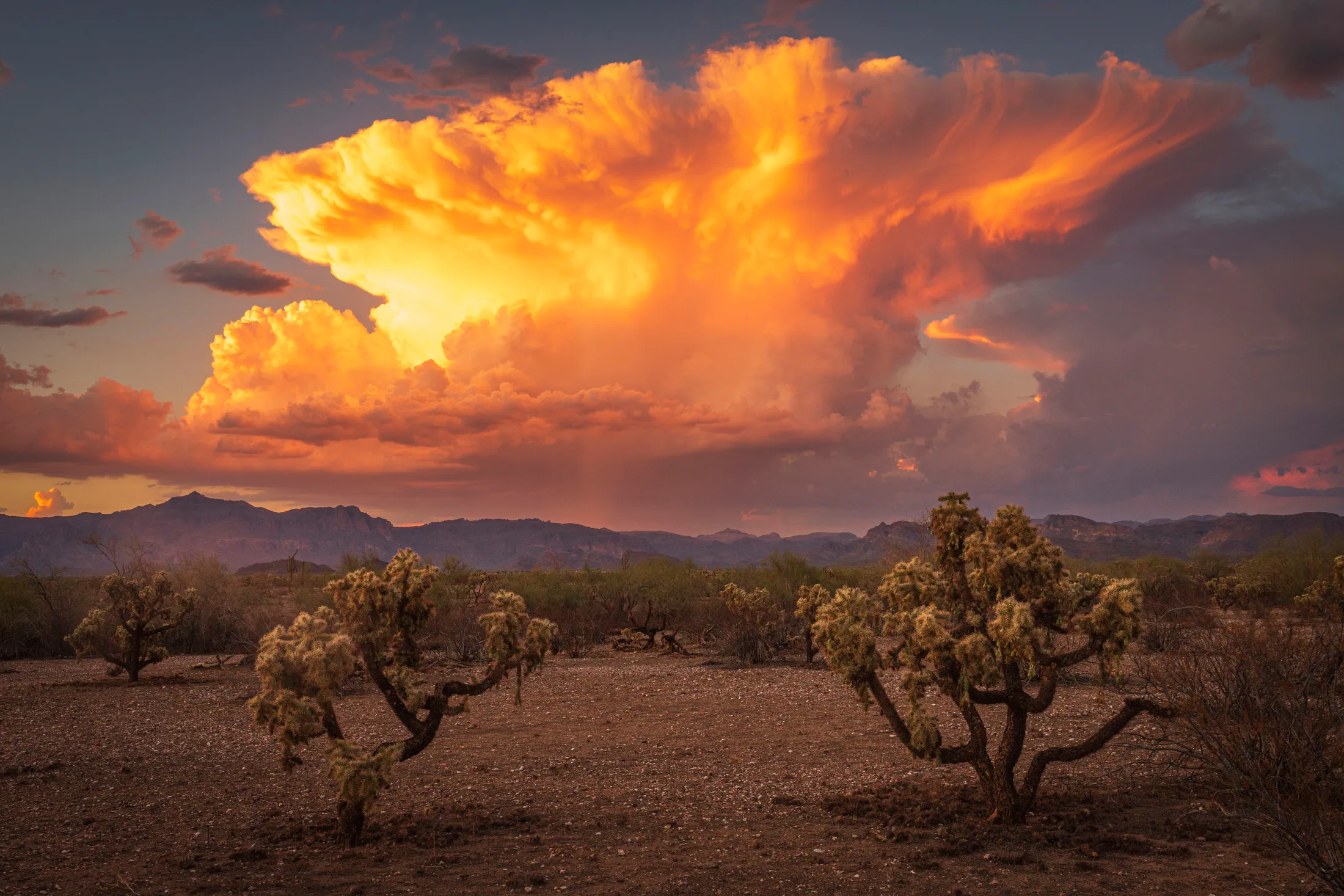 MSS (83) Sunset of the Superstitions near Peralta Sunset of the Superstitions near Peralta, a fine art photograph by Michael Joseph Baca
