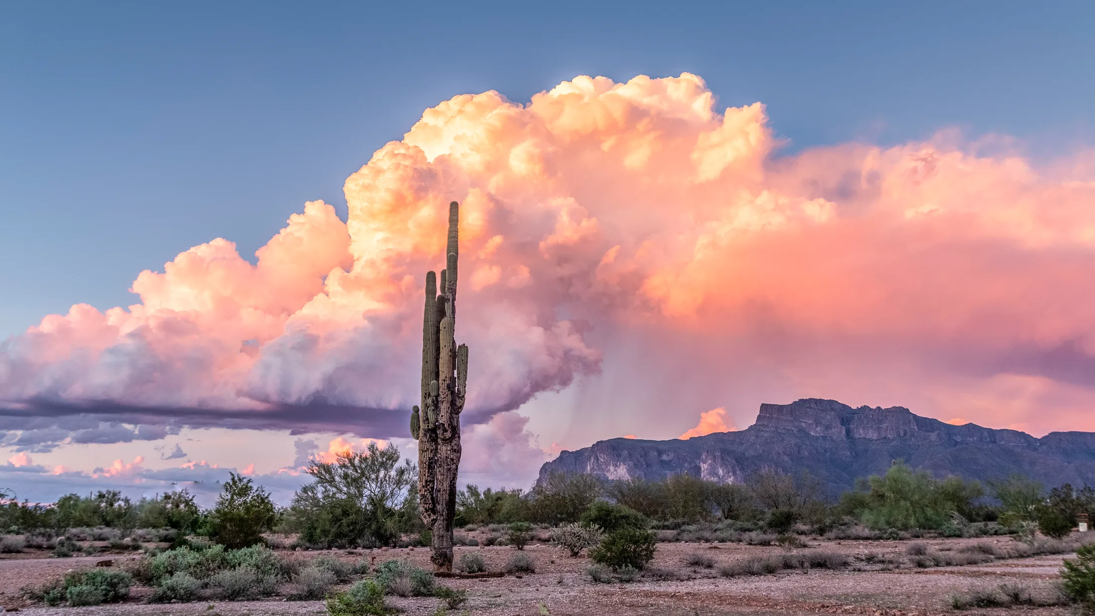 MST (3) Superstition Mountain Arizona Superstition Mountain Arizona, lightning, a fine art photograph by Michael Joseph Baca