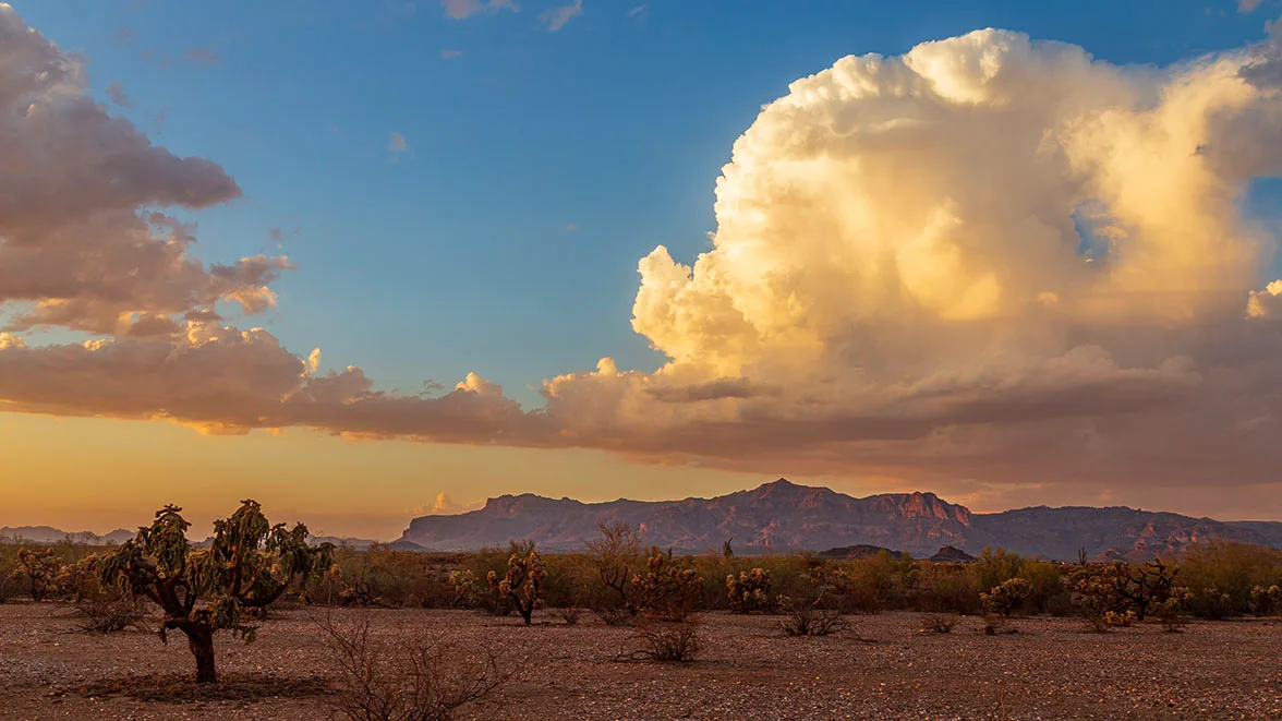JS032 Superstition Mountains off the 60 Superstition Mountains off the 60, sunset and sunrise, a fine art photograph by Janell Evelyn Baca