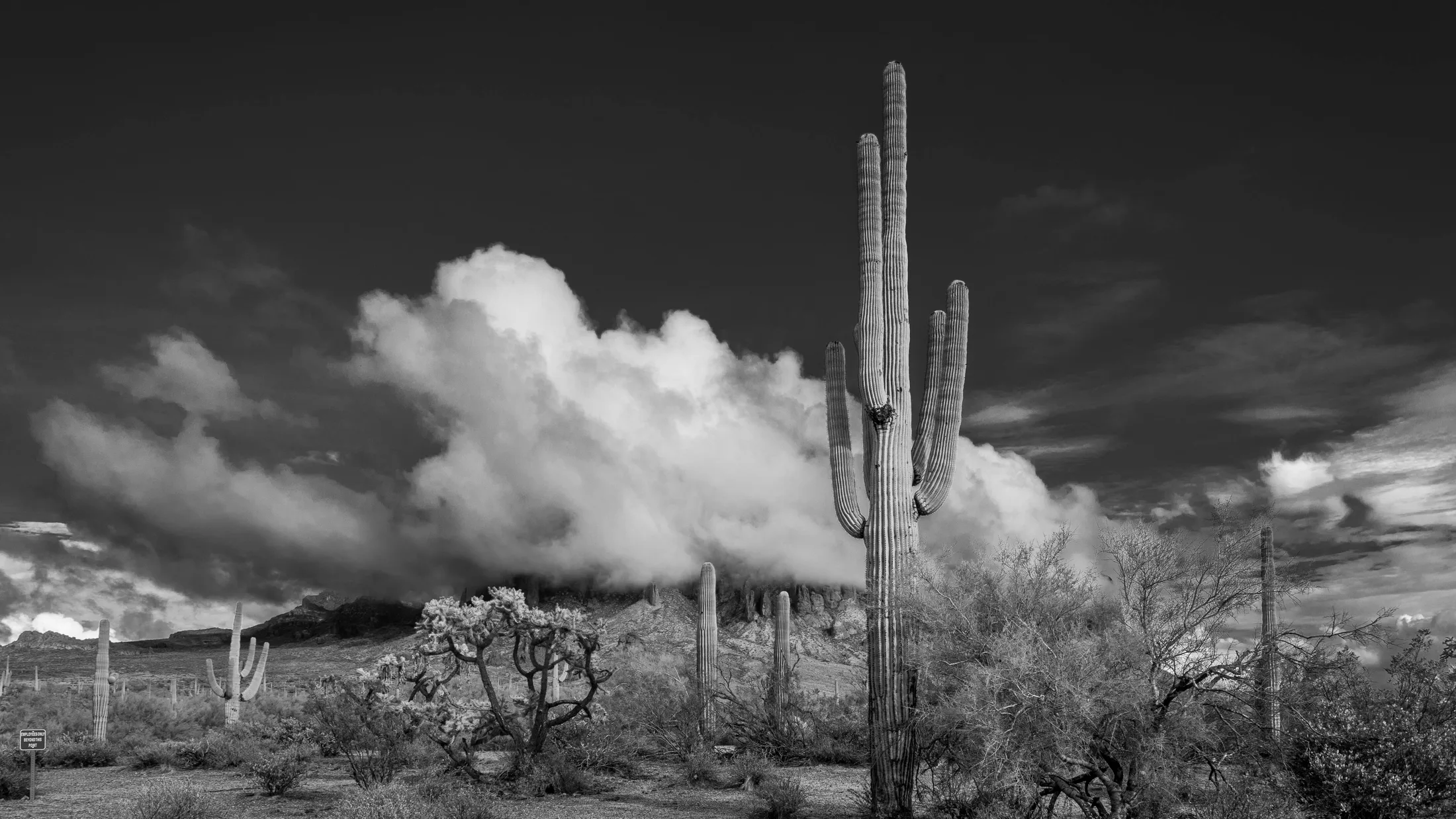 MLS (12) Superstition Wilderness Arizona Superstition Wilderness Arizona, landscape, a fine art photograph by Michael Joseph Baca