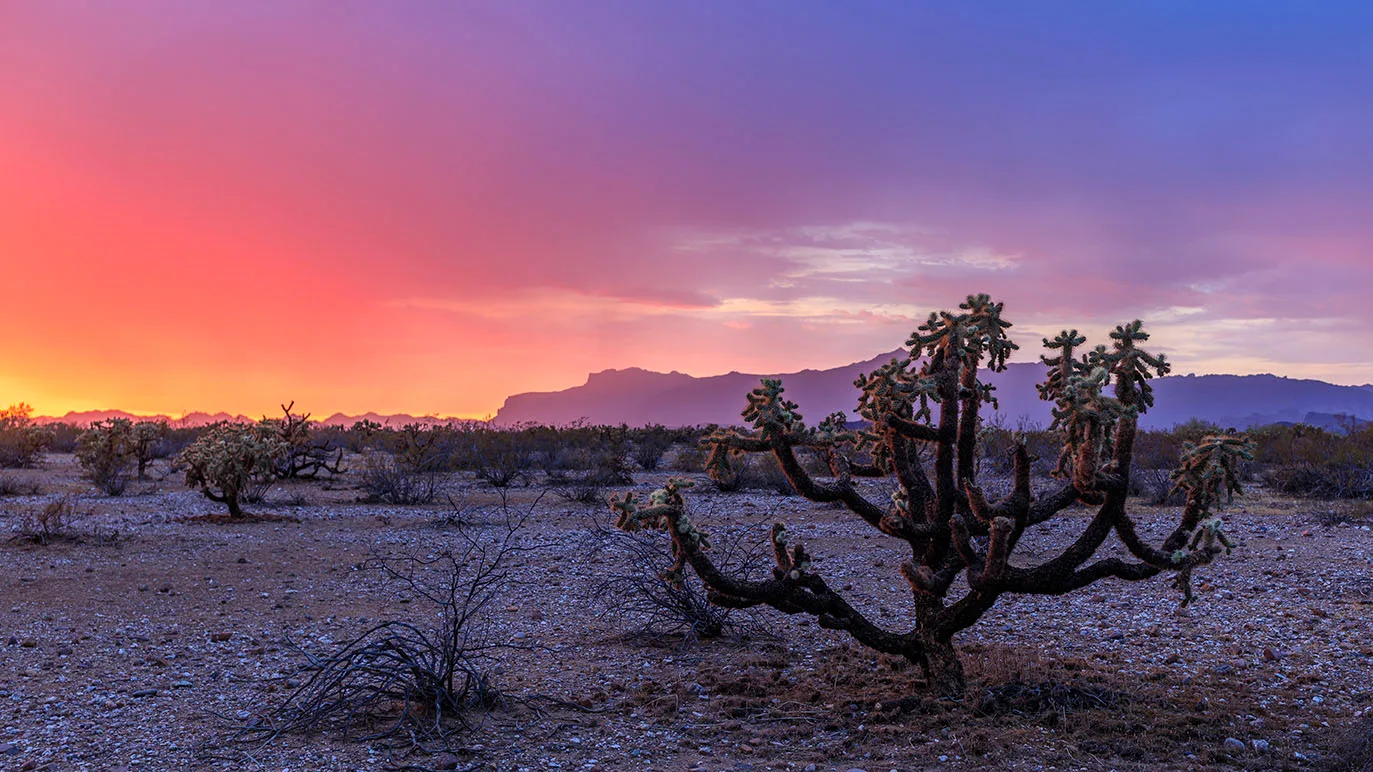JS042 Train Full of Color Superstition Mountains Sunset Train Full of Color Superstition Mountains Sunset, a fine art photograph by Janell Evelyn Baca
