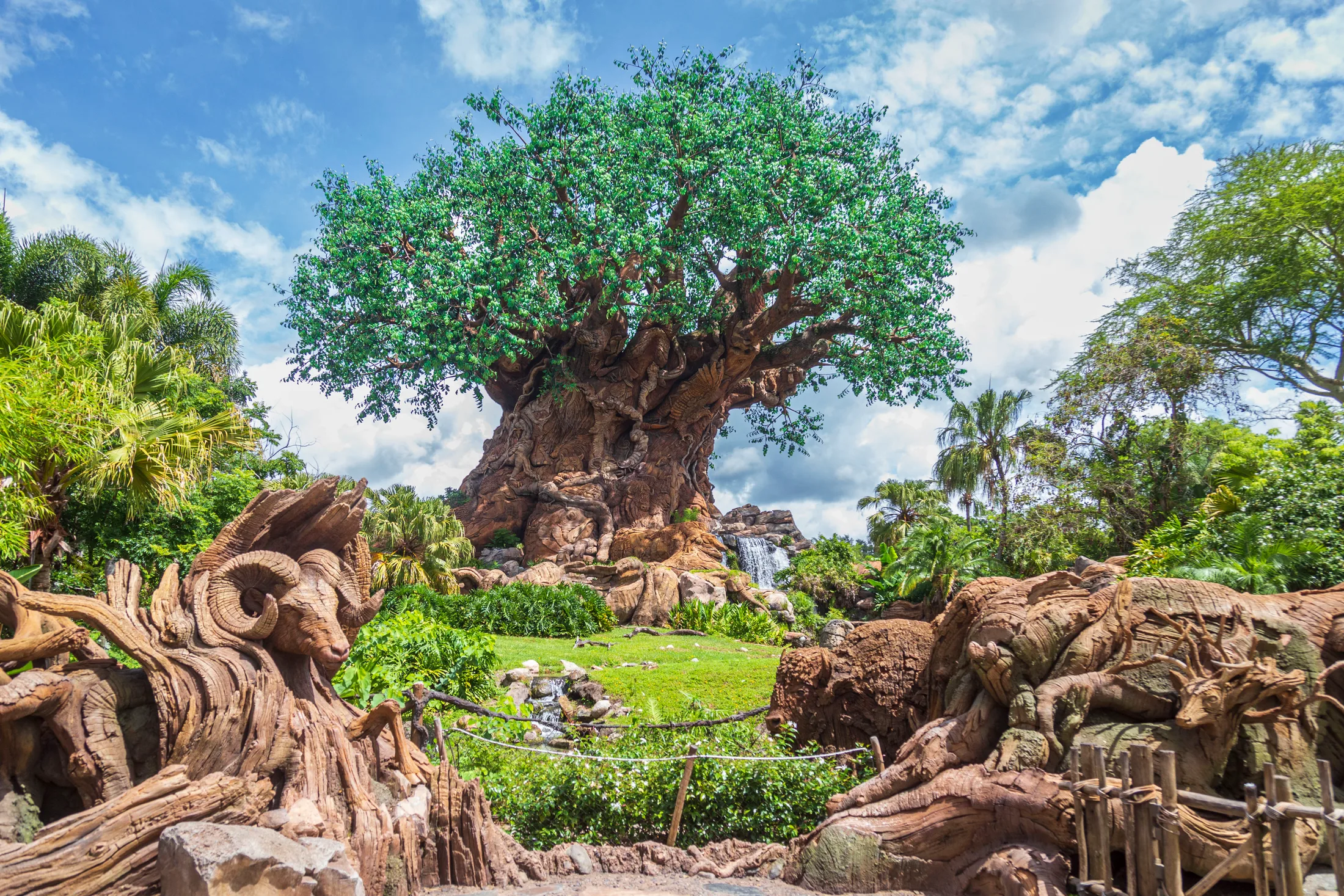 MFL (19) Tree of Life Animal Kingdom FL Tree of Life Animal Kingdom FL, flowers and plants, a fine art photograph by Michael Joseph Baca