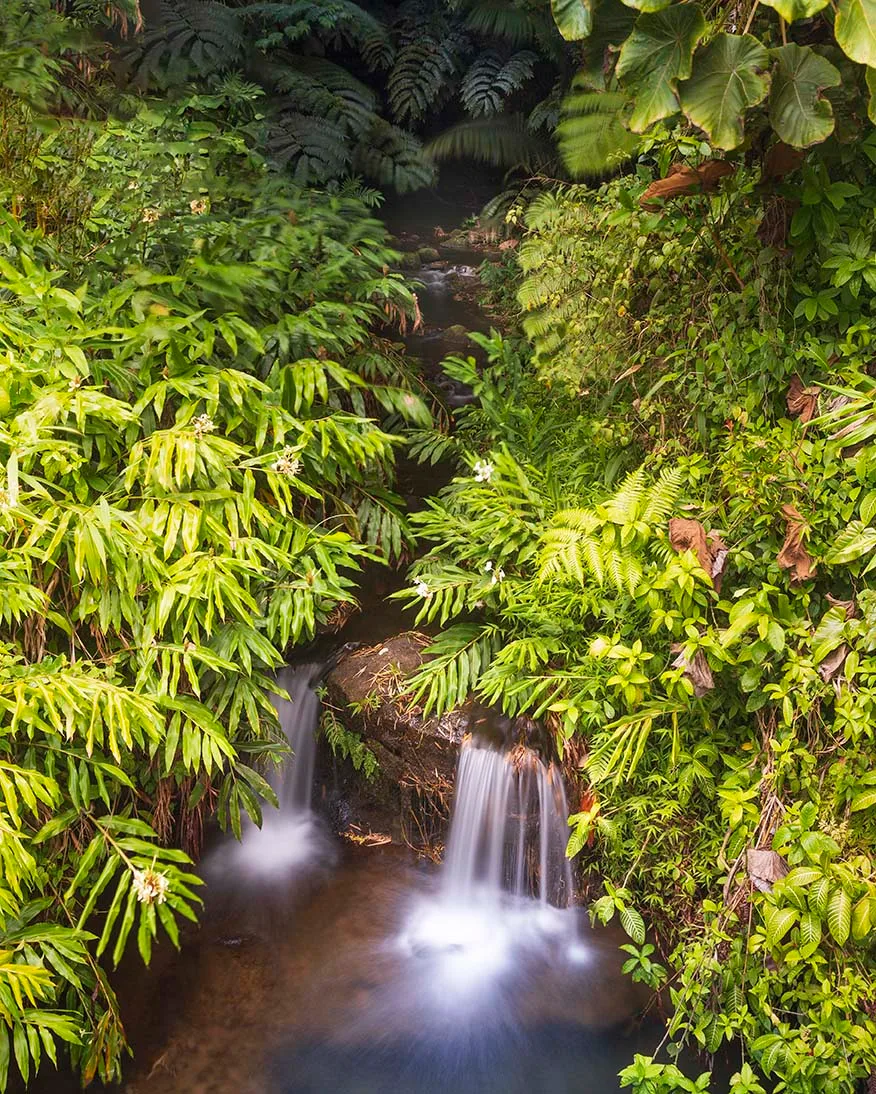 JW012 waterfall at Akaka Falls State Park Big Island Hawaii waterfall at Akaka Falls State Park Big Island Hawaii, ocean and lake and river and pier, a fine art photograph