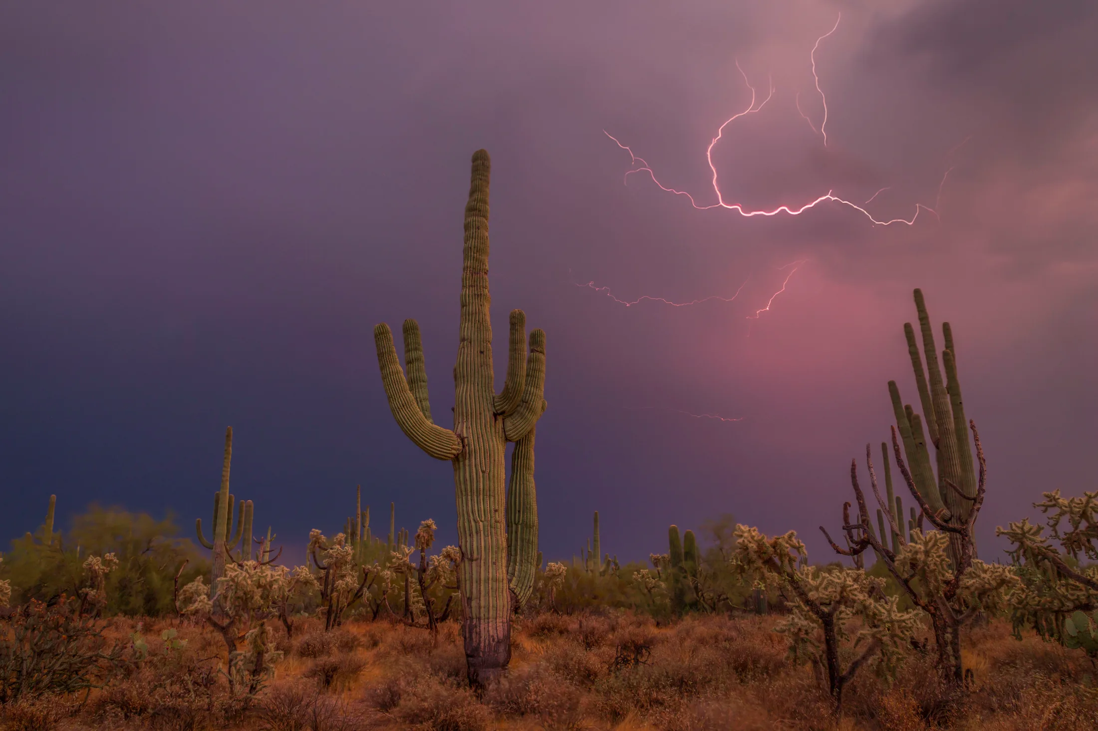 MST (62) Whitlow Ranch Road Florence AZ Whitlow Ranch Road Florence AZ, lightning, a fine art photograph by Michael Joseph Baca