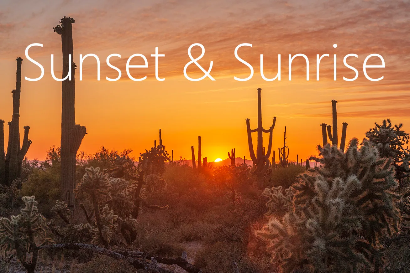JS005 Colorful Sunset in Saguaro National Park Tucson AZ, a fine art photograph by Janell Evelyn Baca